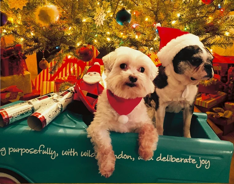 WHY I'M GIVING PRESENTS WITHOUT PRICE TAGS THIS CHRISTMAS