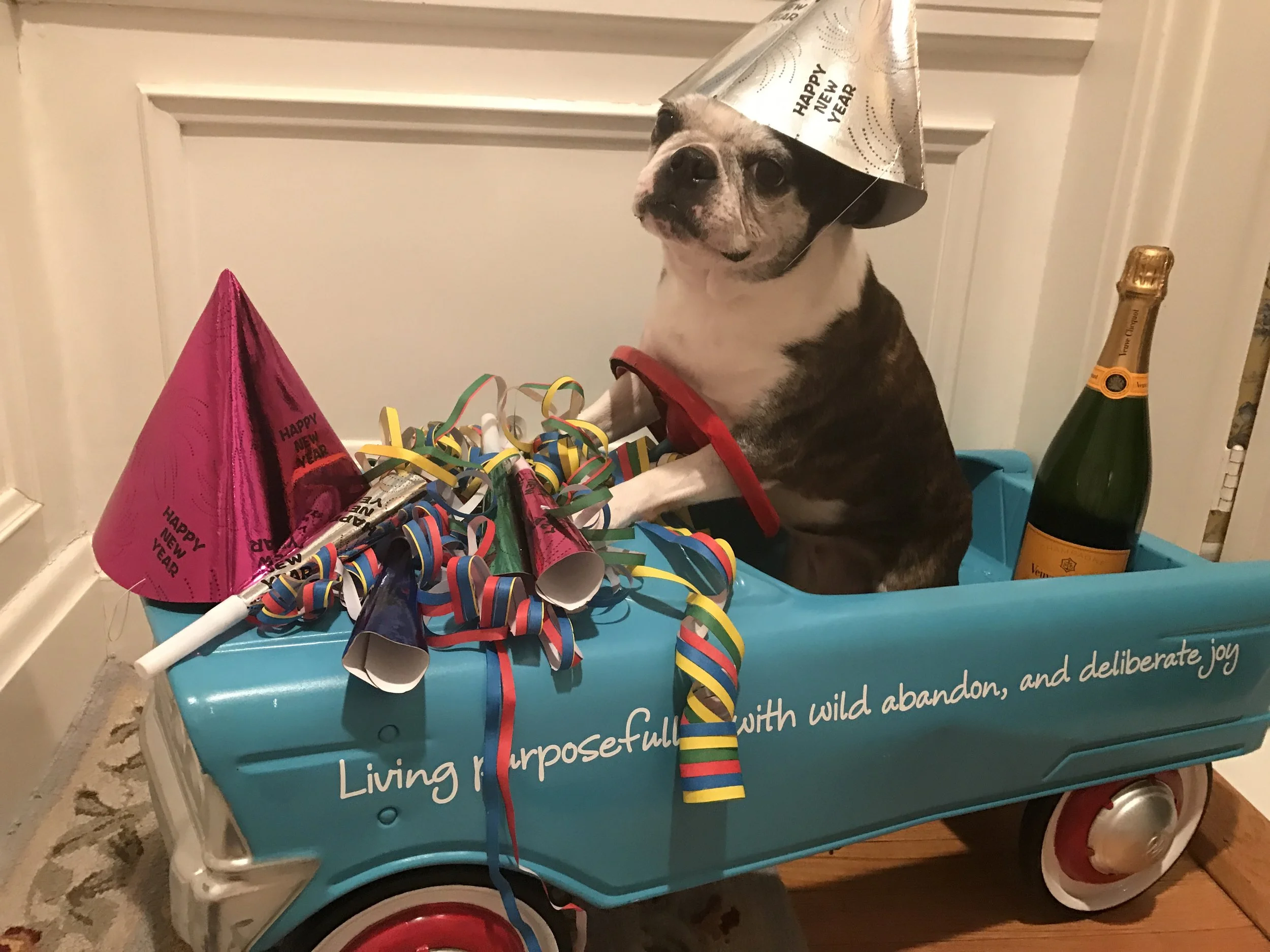 YOUR NEW YEAR'S EVE PLANS: THE ULTIMATE TELL-ALL