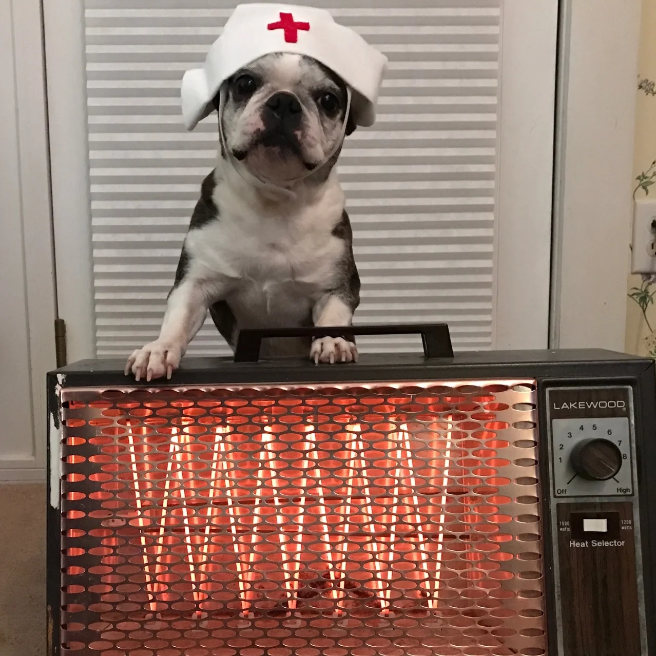 WHY I'M WILLING TO RISK BEING BLOWN UP BY A SPACE HEATER