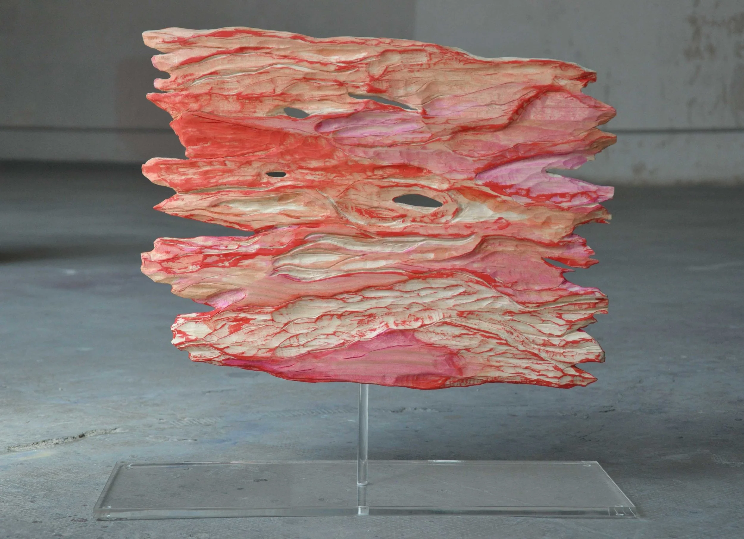 Reflection | 2017 Pine wood, pigment and acrylic 14,5”h x 19 1/4” w x 1”d plexiglass base 8”h x 21 1/4”w x 1/2” d