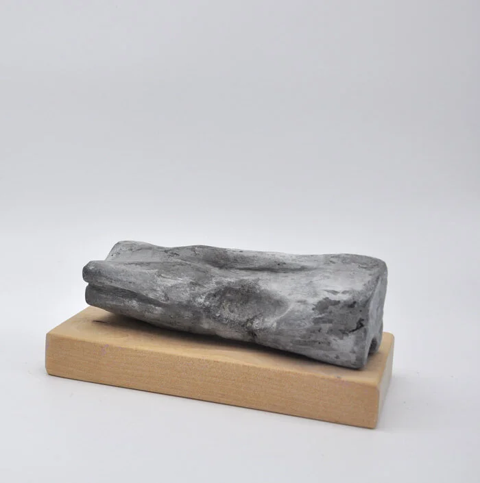  Sculpture XVII | 2021  Hydrocal, pigment and birchwood.  21x 10,5 x 10 cm 