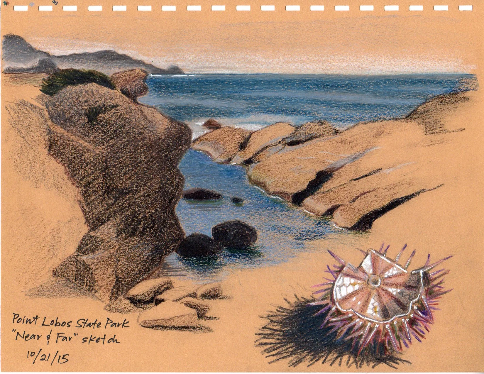 Near and Far (Point Lobos)