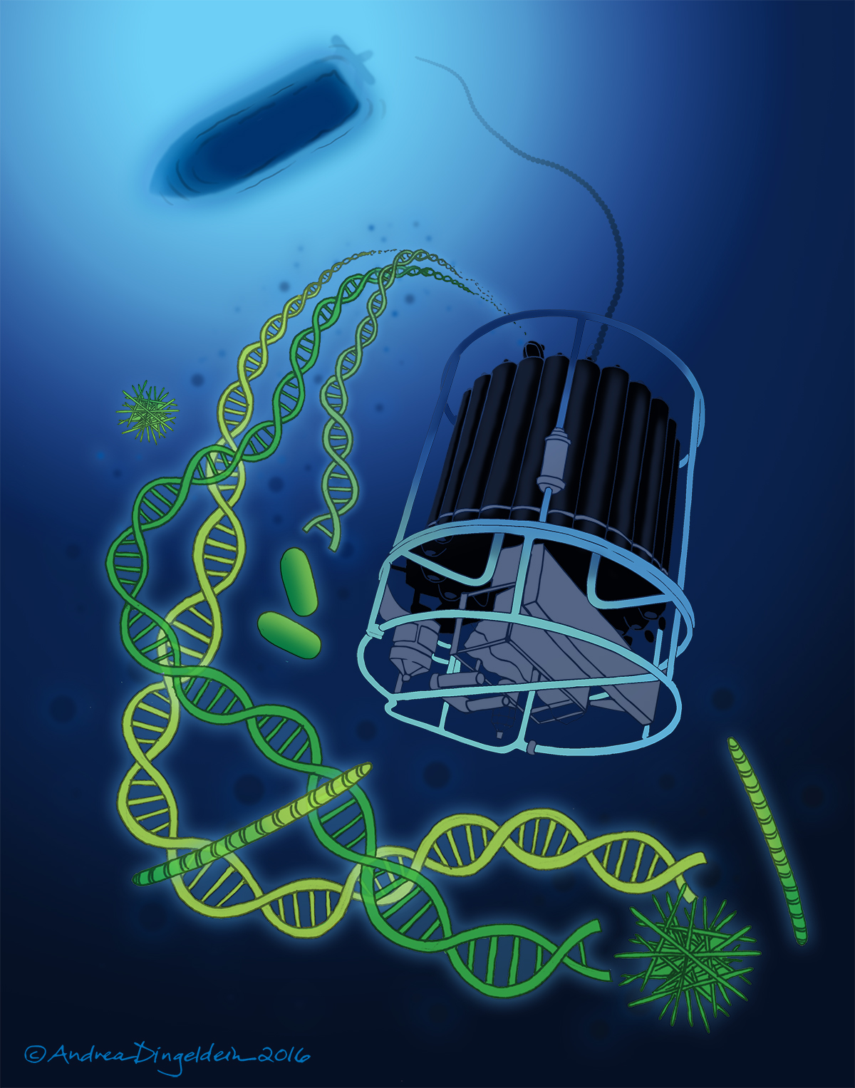 Trawling for Genes