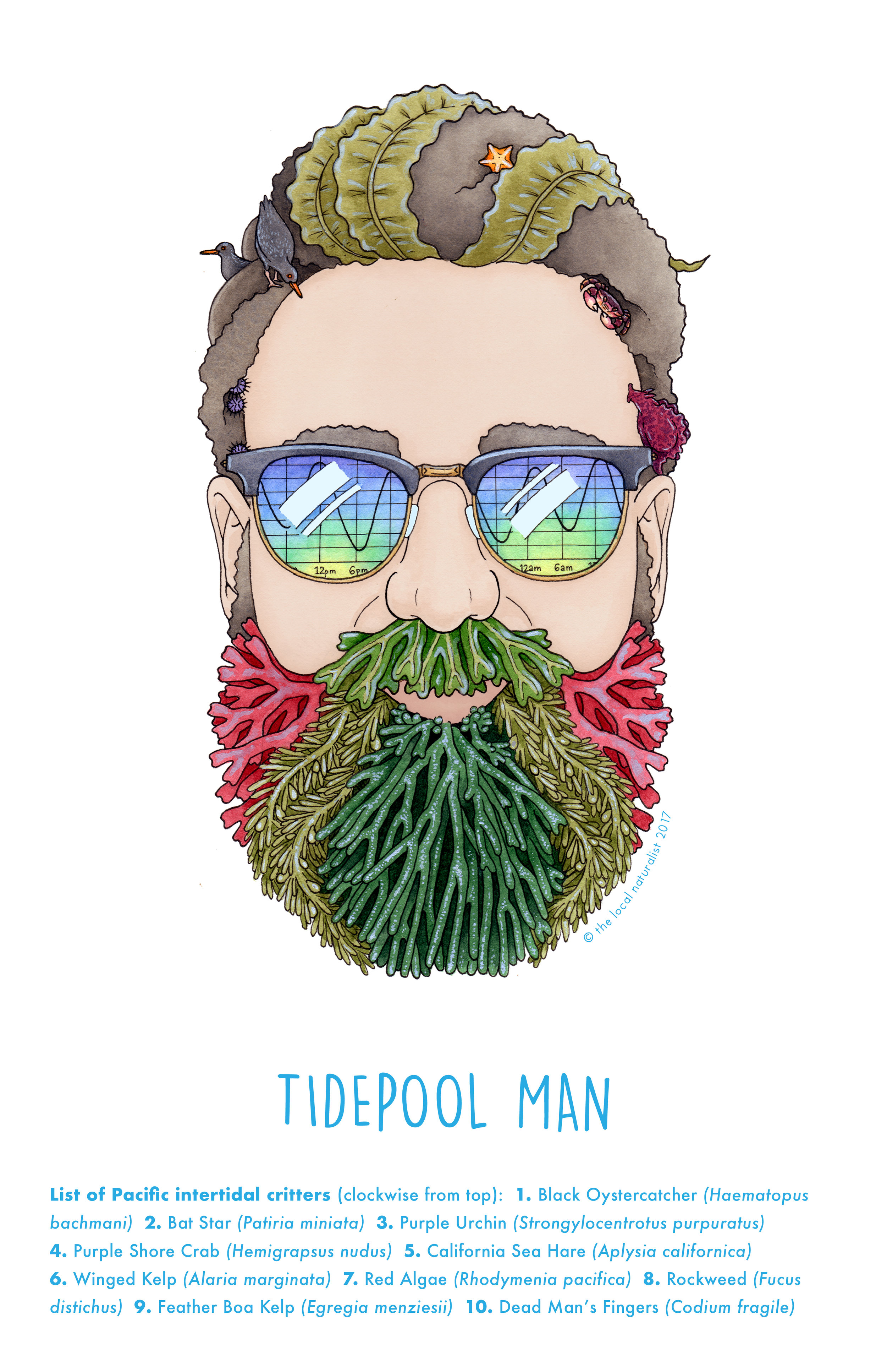 Tidepool Man