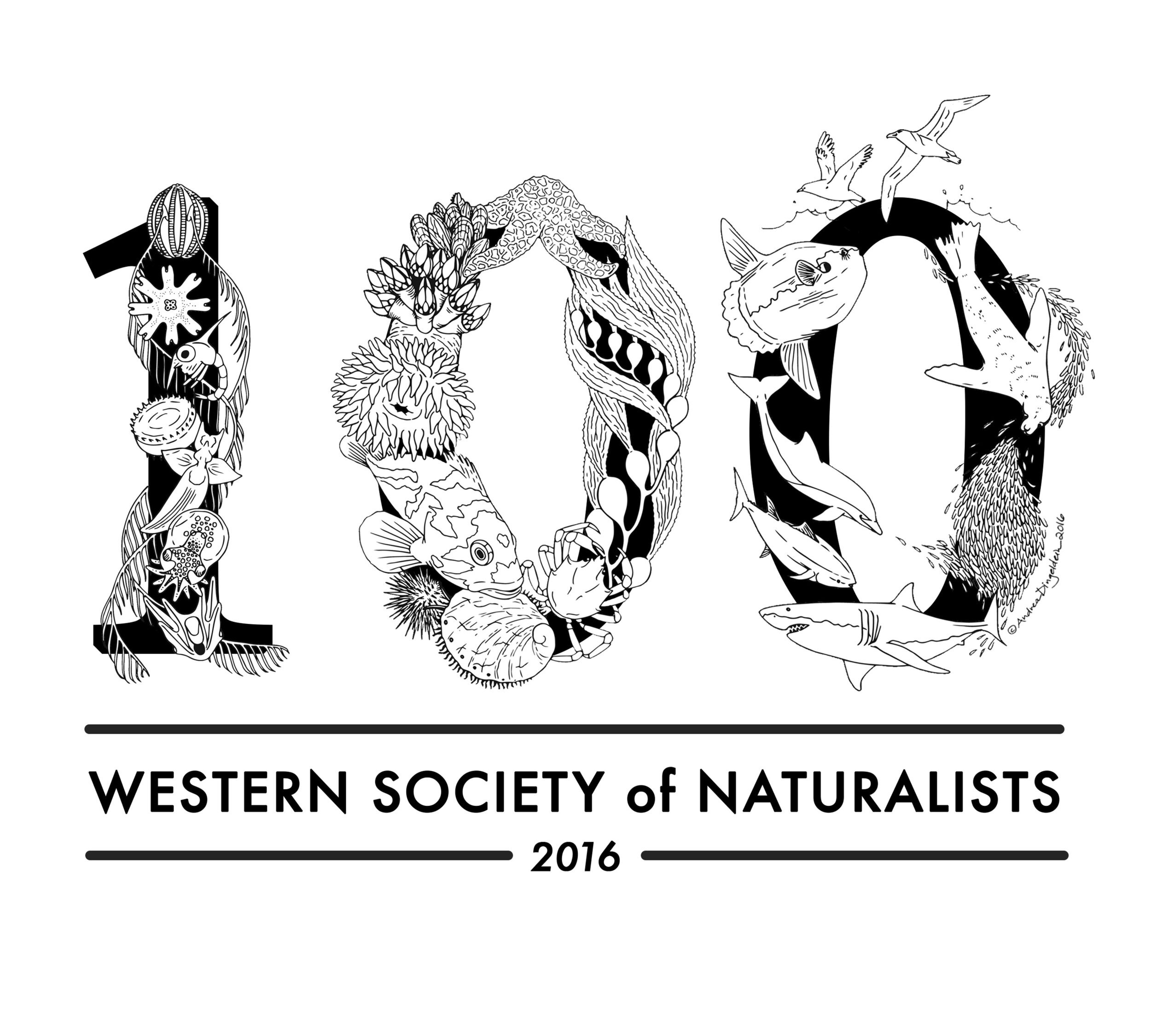 WSN Full Logo