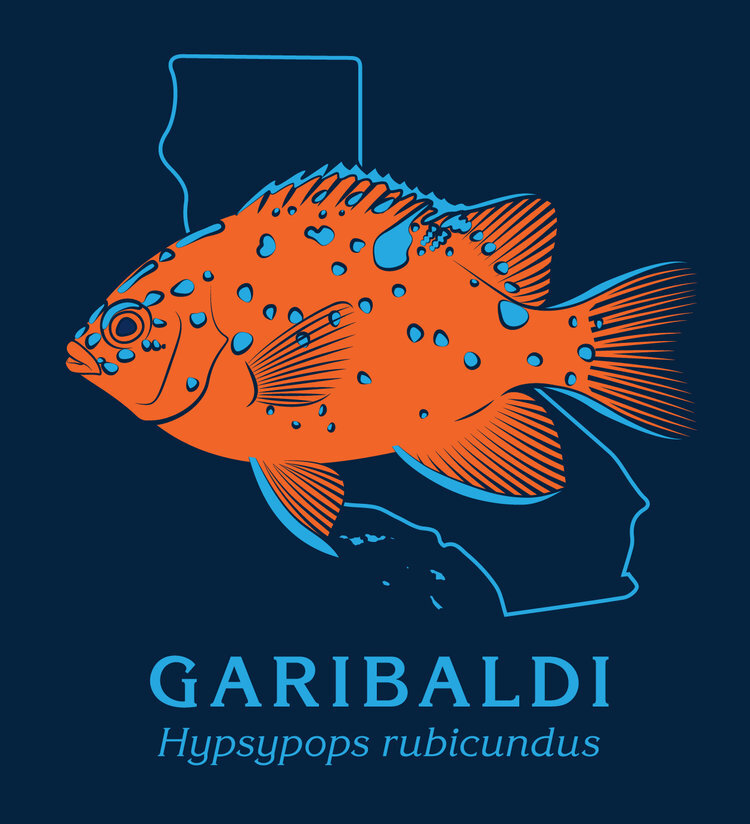 Garibaldi Pocket Logo