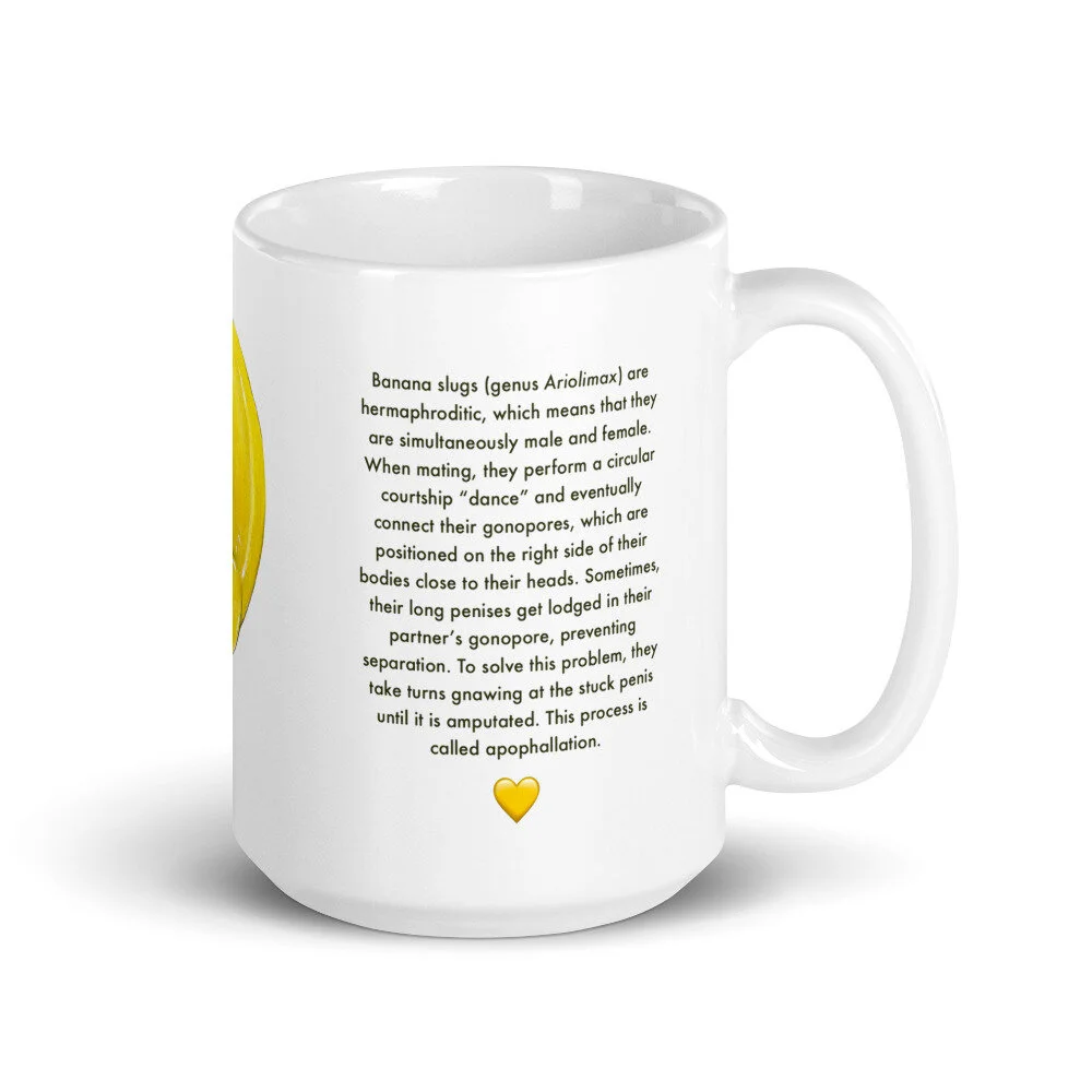 white-glossy-mug-15oz-handle-on-right-6112a84508c47.jpg