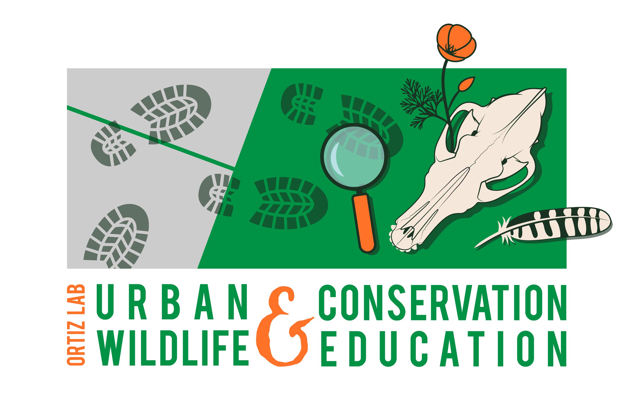 The Ortiz Lab - Urban Wildlife & Conservation Education