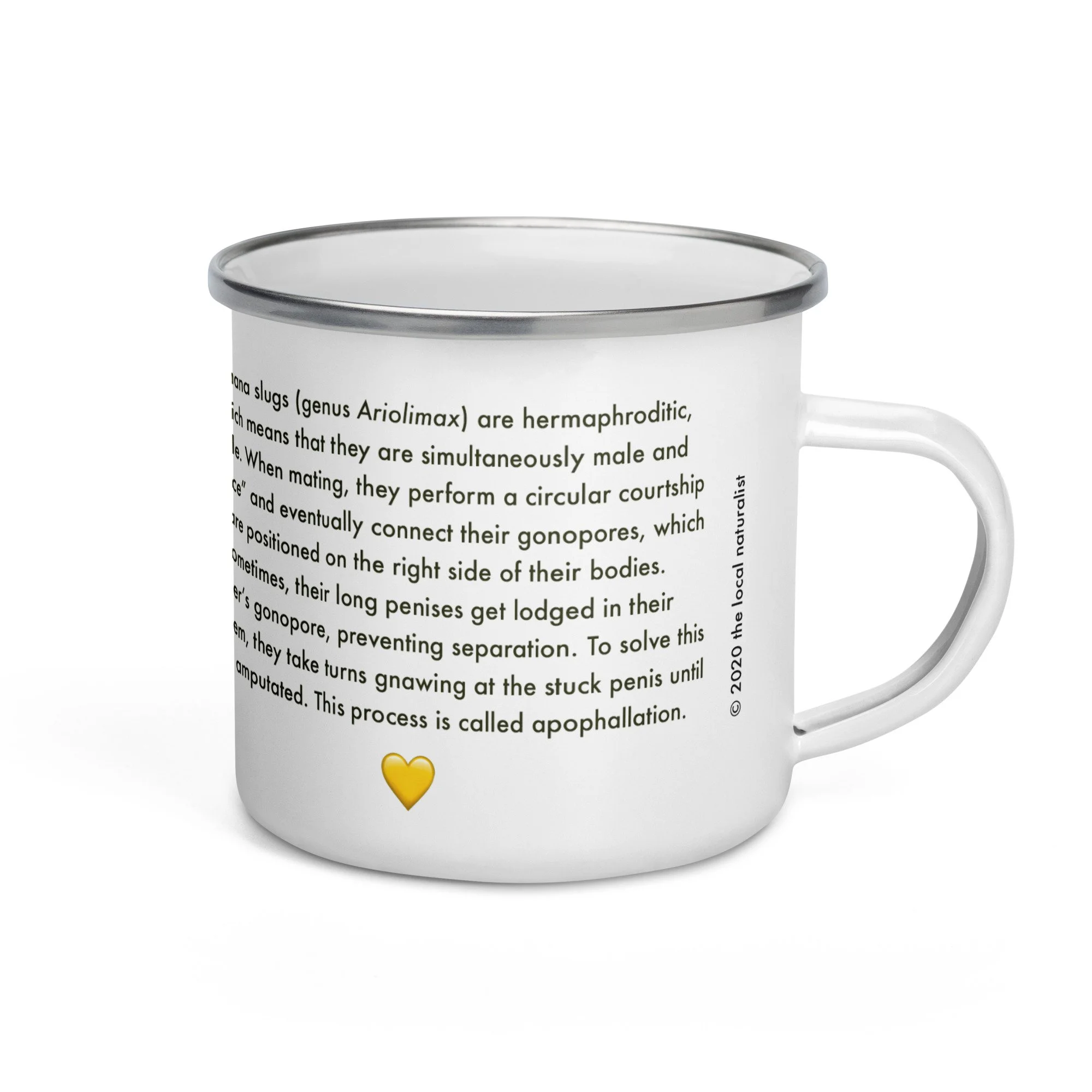 enamel-mug-white-12oz-right-64932dd5b3d46.jpg