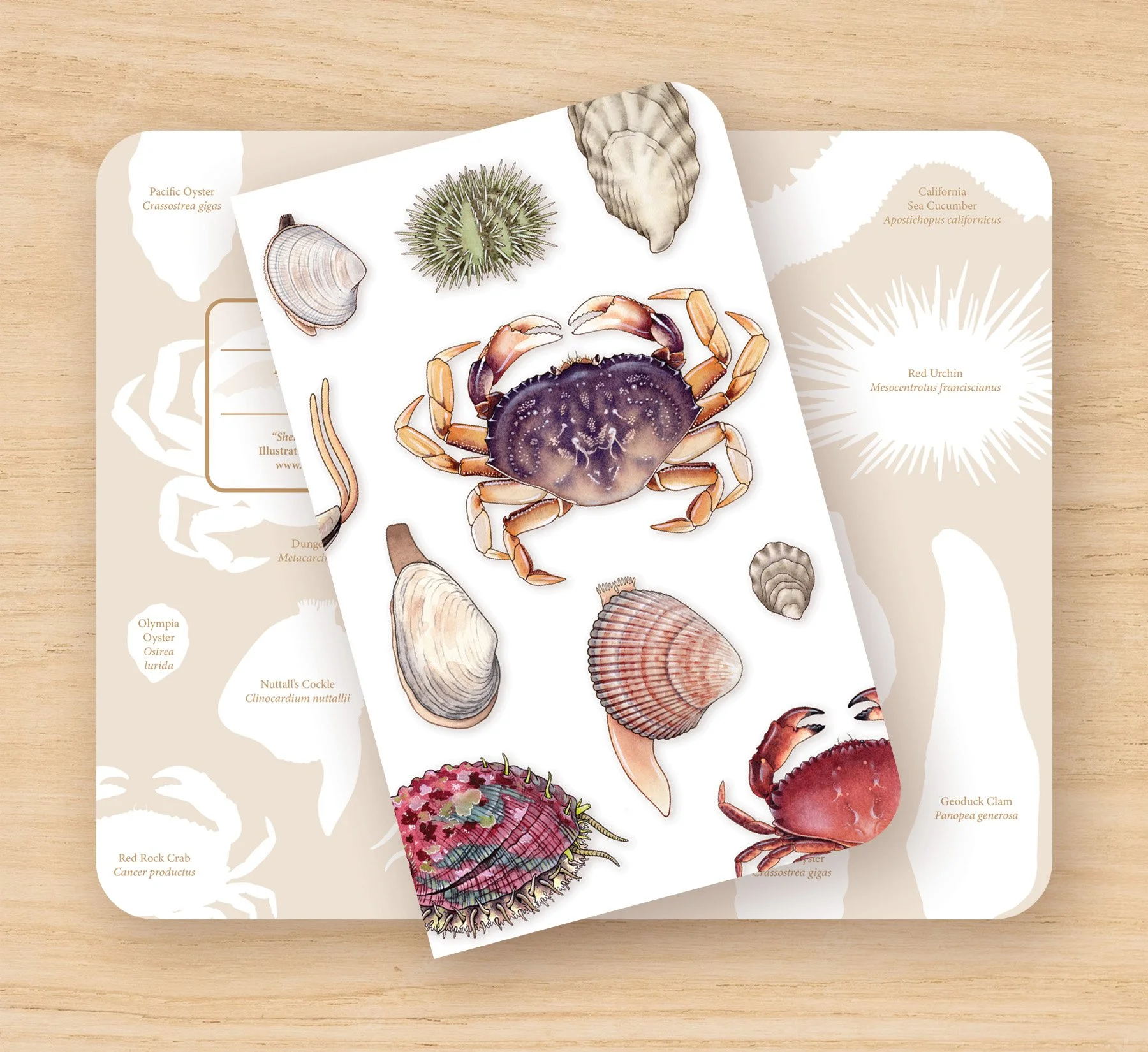Shellfish Notebook_Mockup_WEB.jpg
