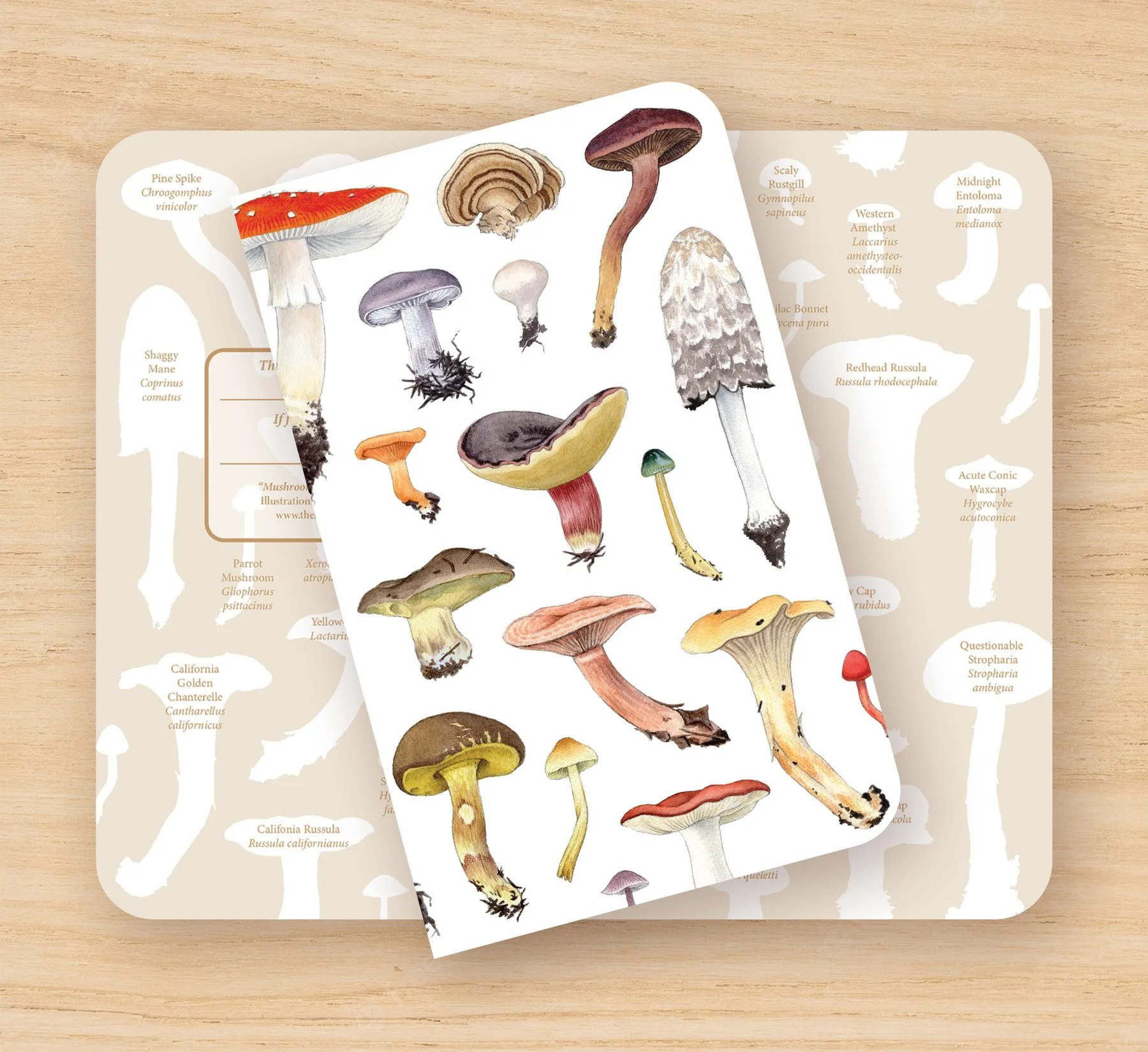 Mushrooms Notebook_Mockup_WEB.jpg