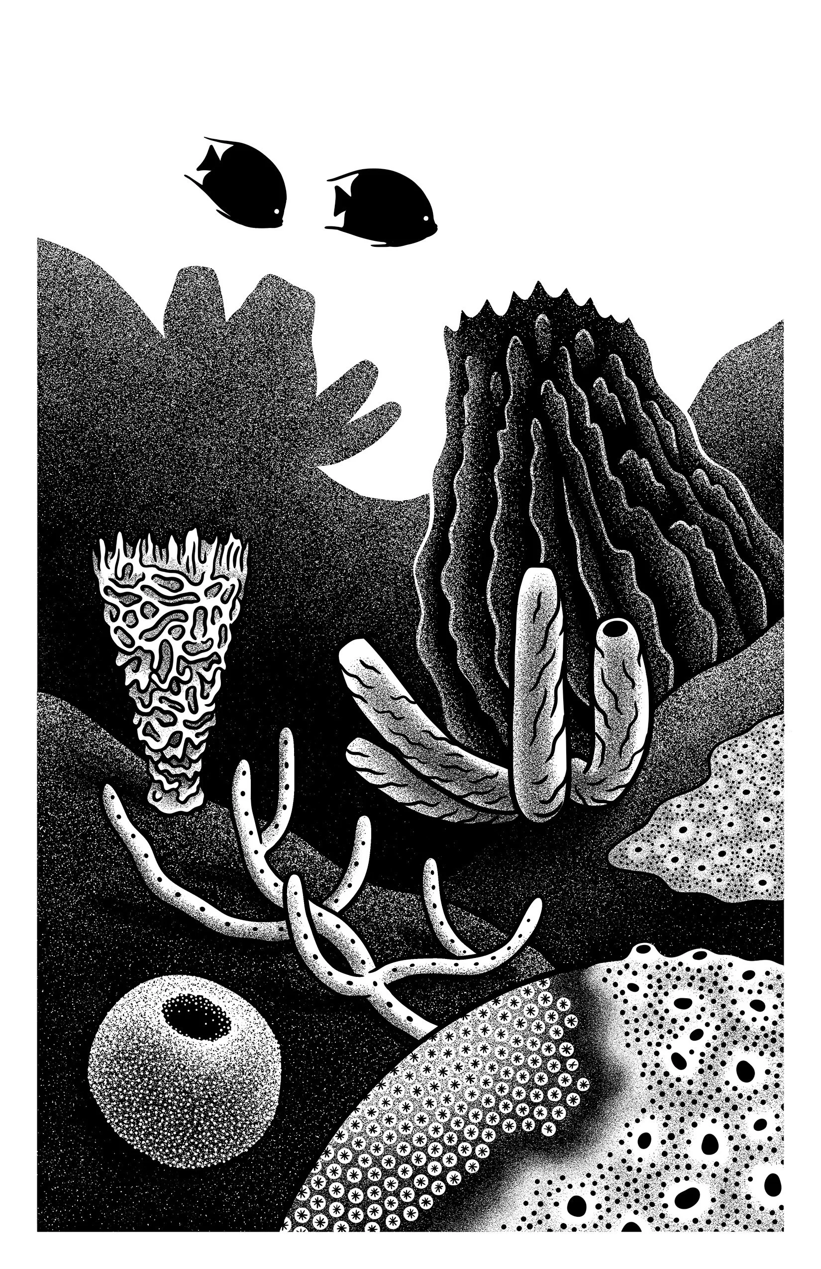 Sponges_Diversity.jpg