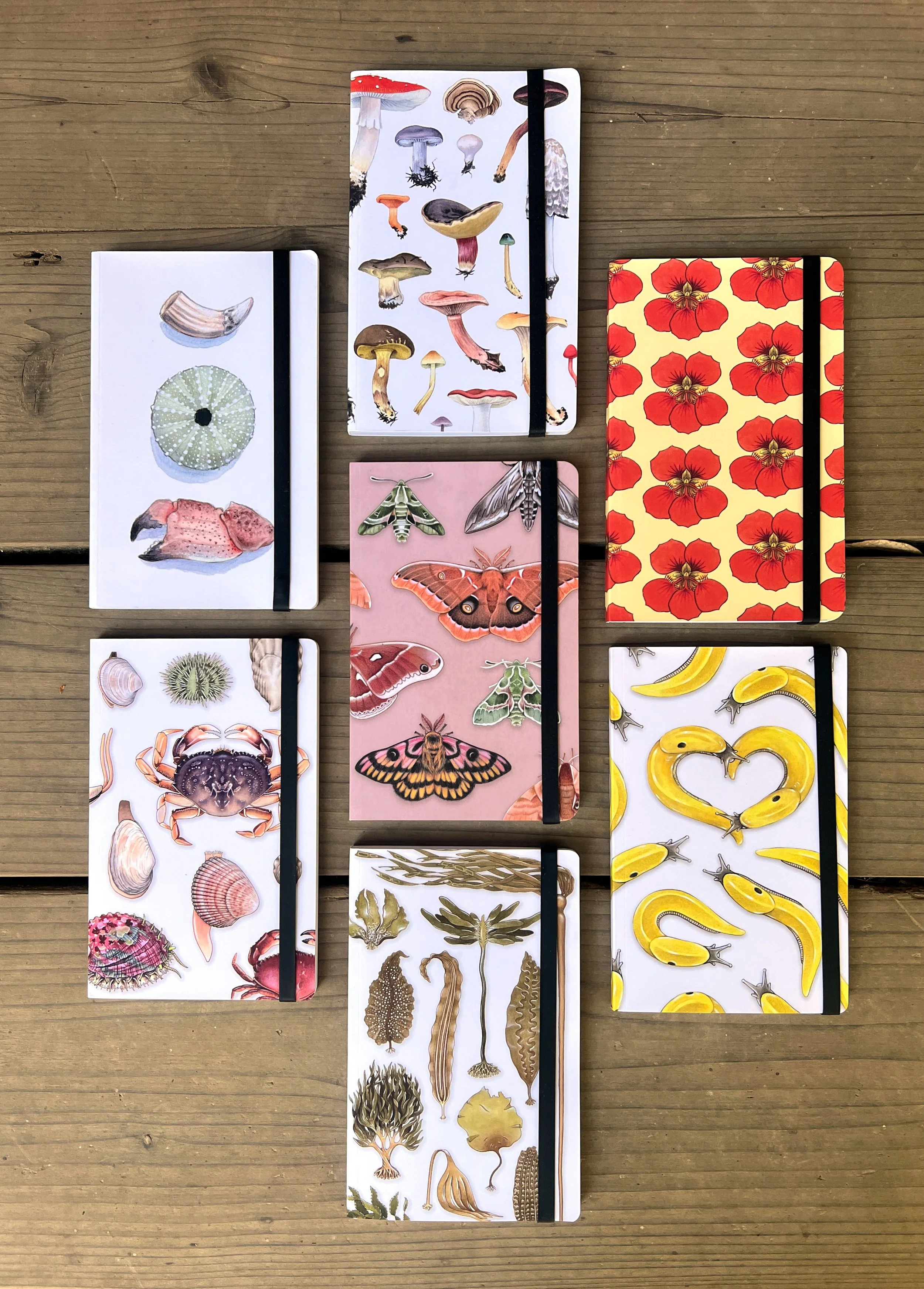 Nature Notebooks.jpg