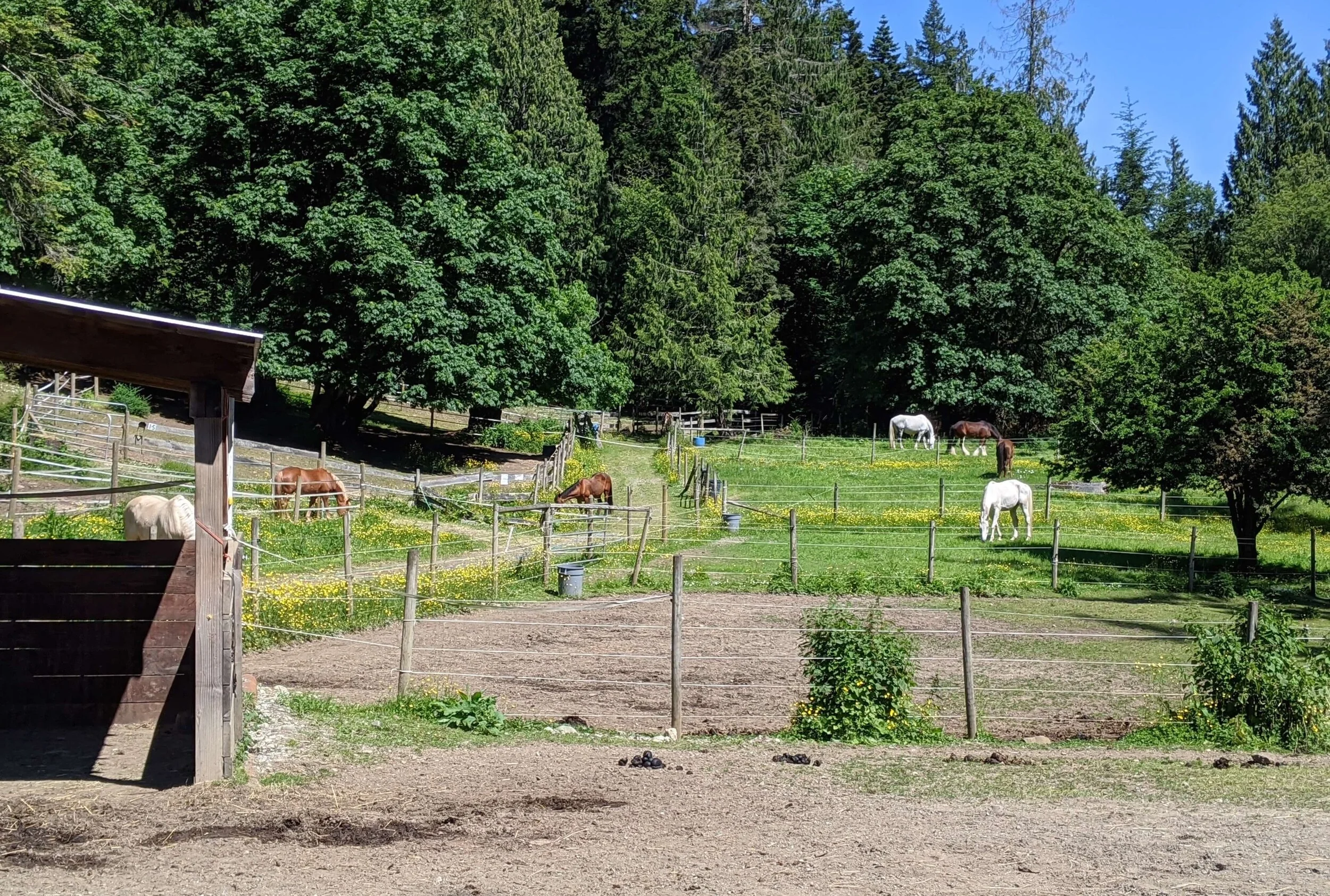 cover-bg-paddocks.jpg