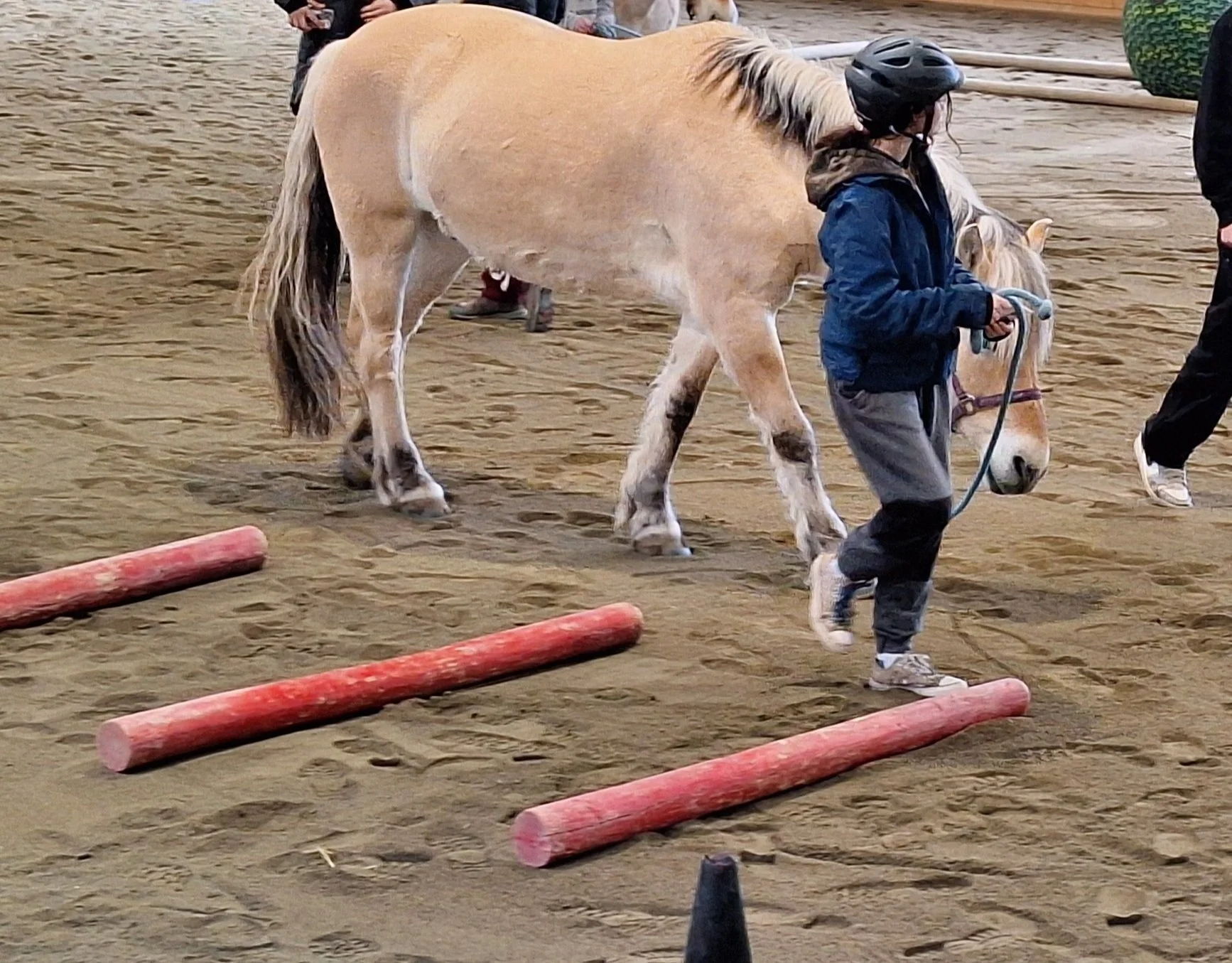 Pony Pals Summer Camps
