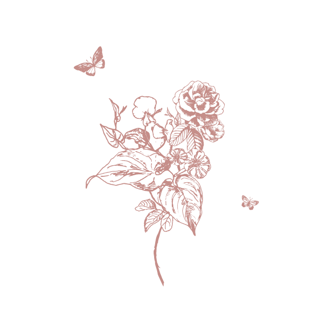 Wild One Branding_Graphics 2.png