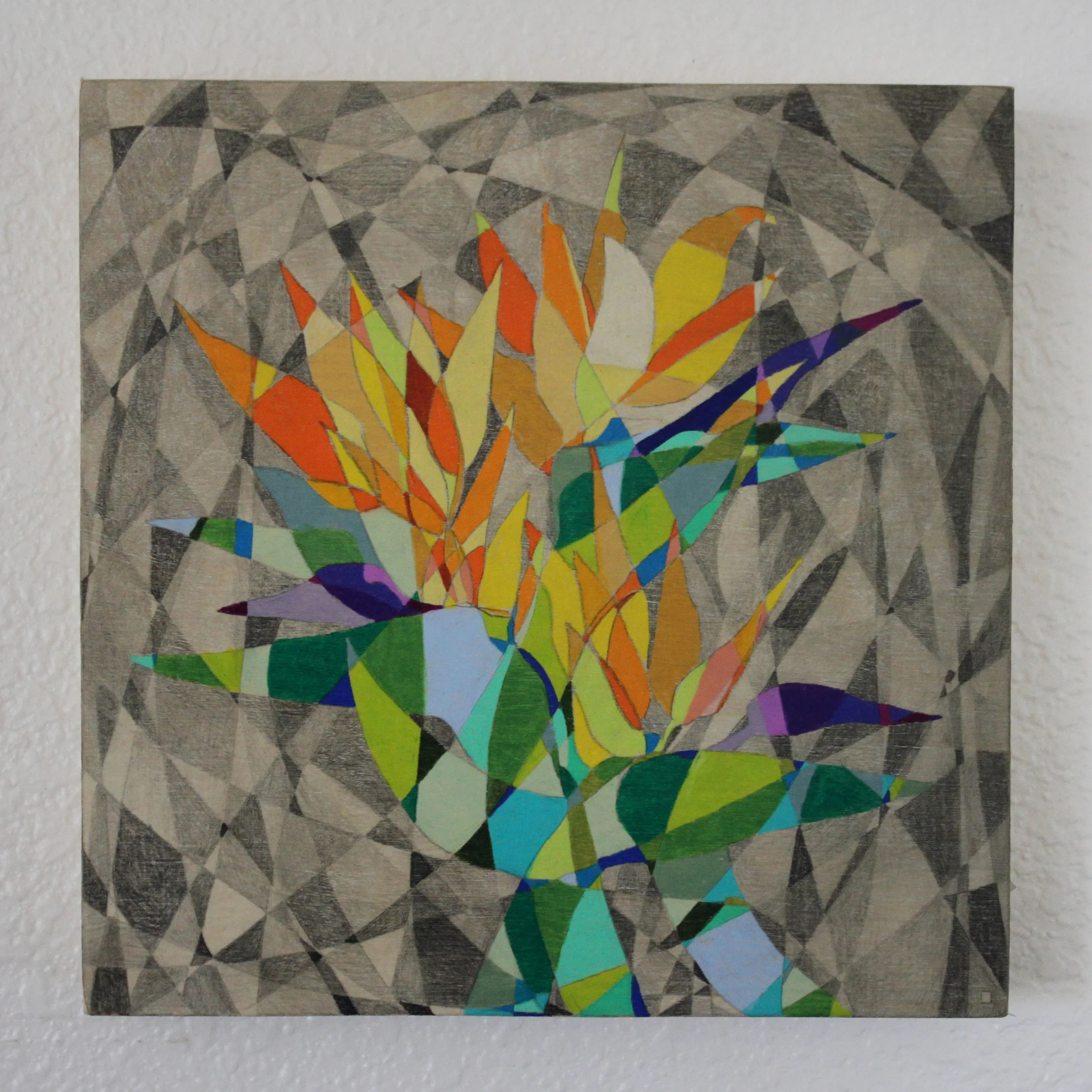 Bird of Paradise Pencil on Panel 8in x 8in 2016 Boz Schurr.jpg