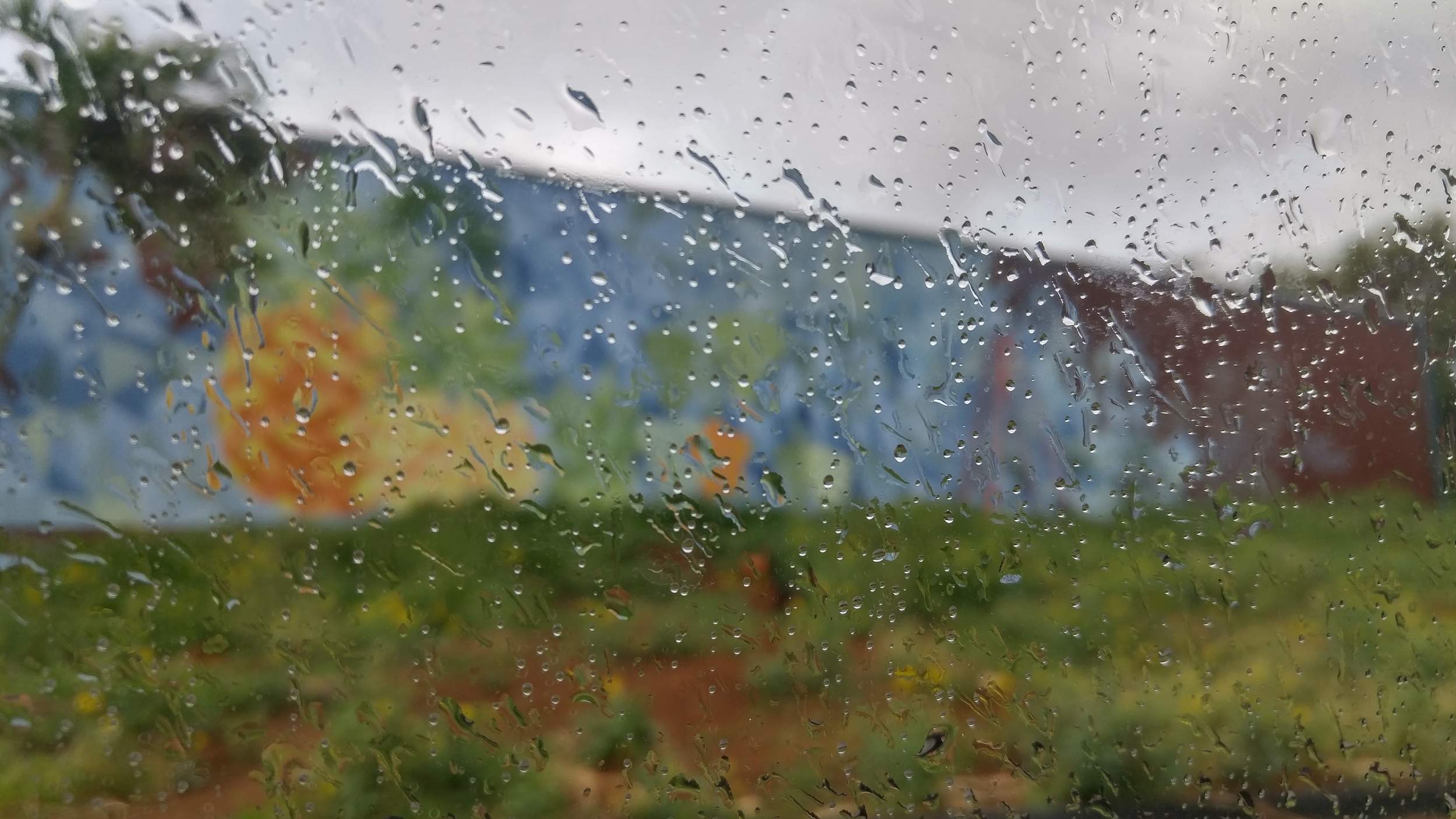 20160417_072009_HDR.jpg