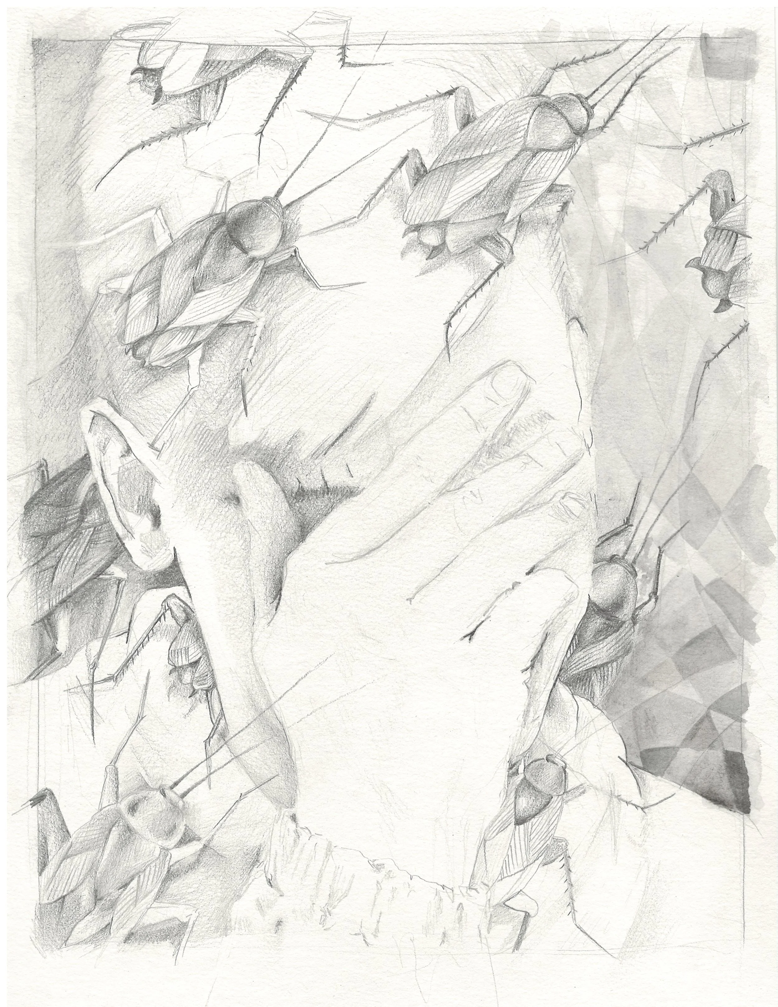Manaolana (Hope)