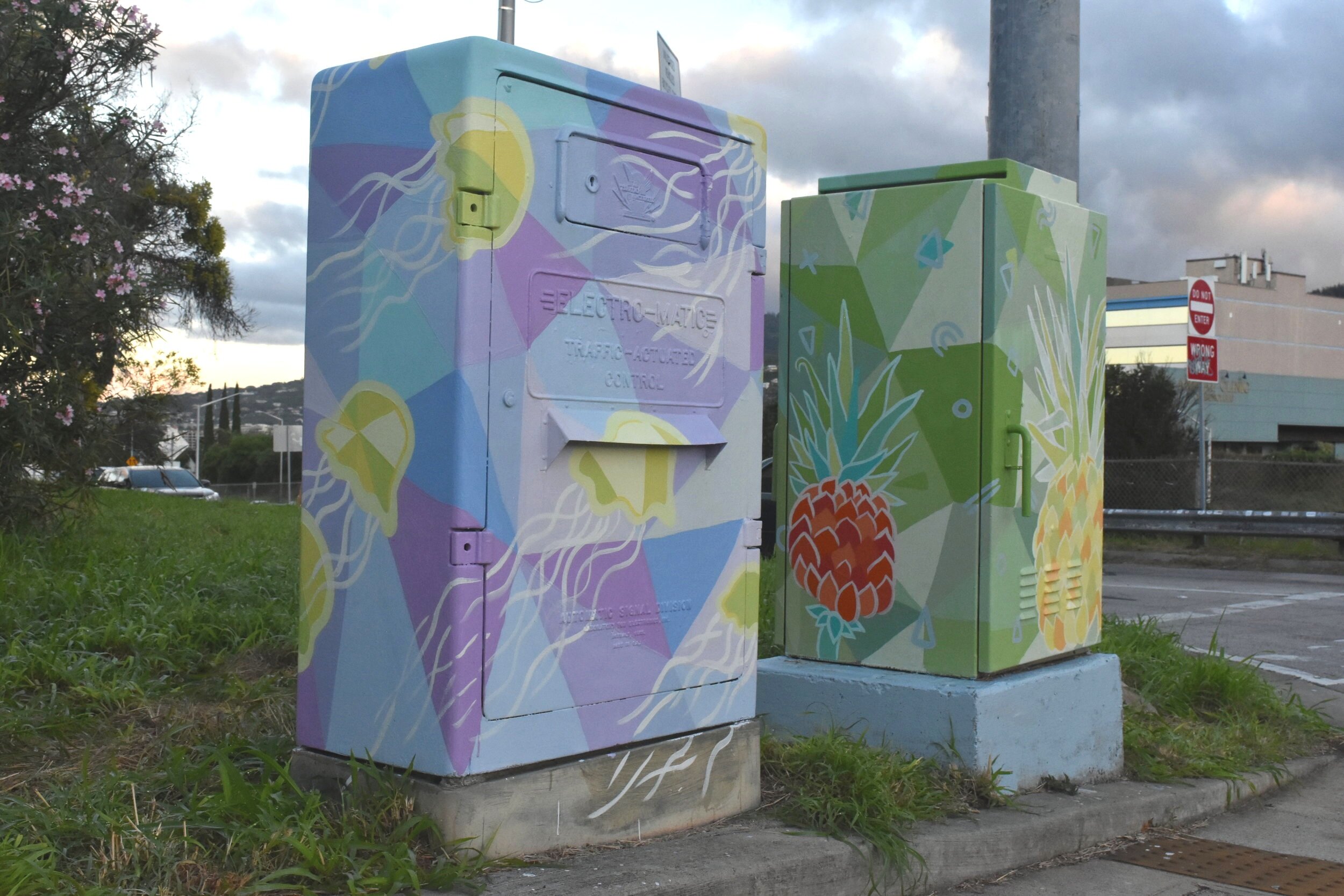 Kaimuki Powerbox Mural