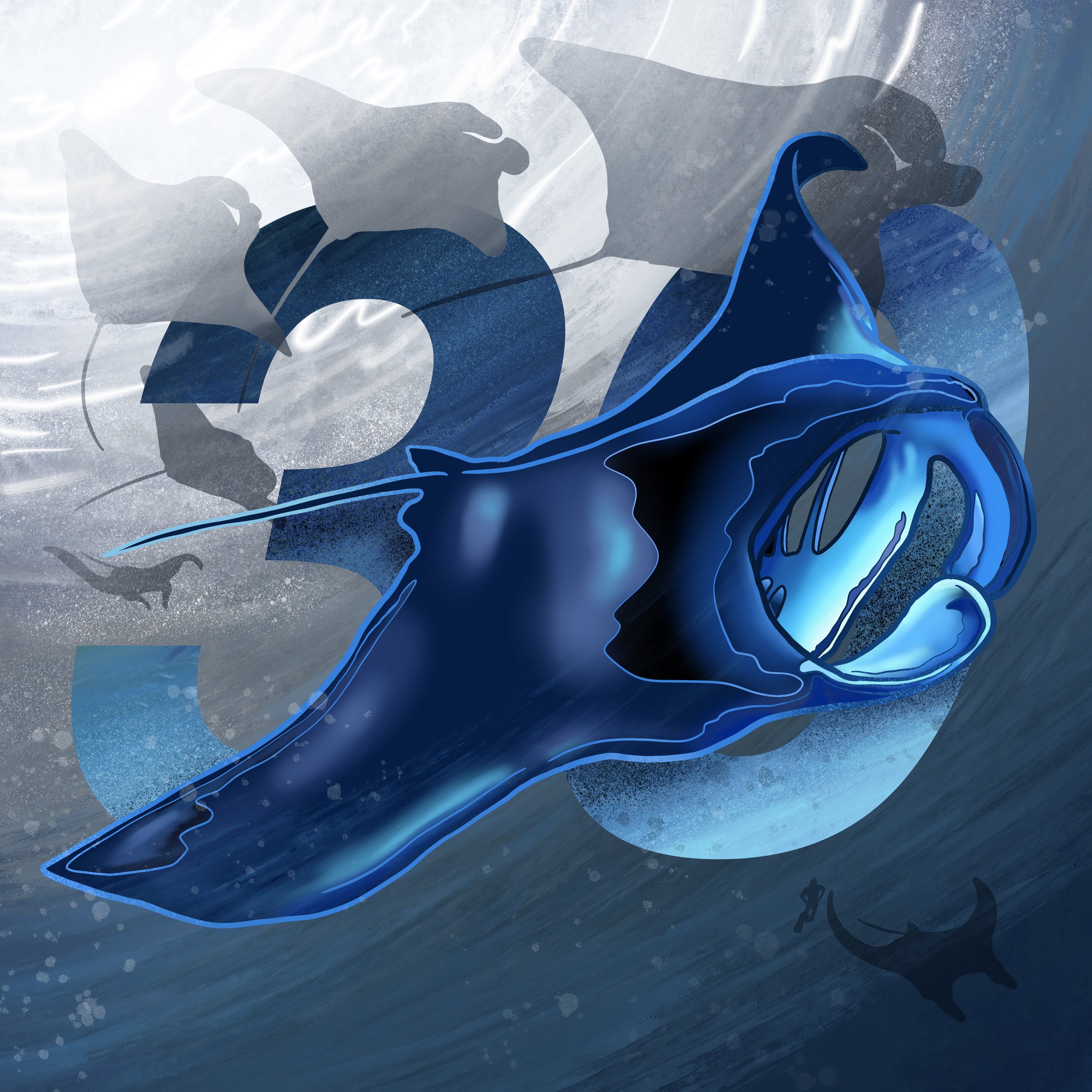 Hāhālua (Manta Ray)