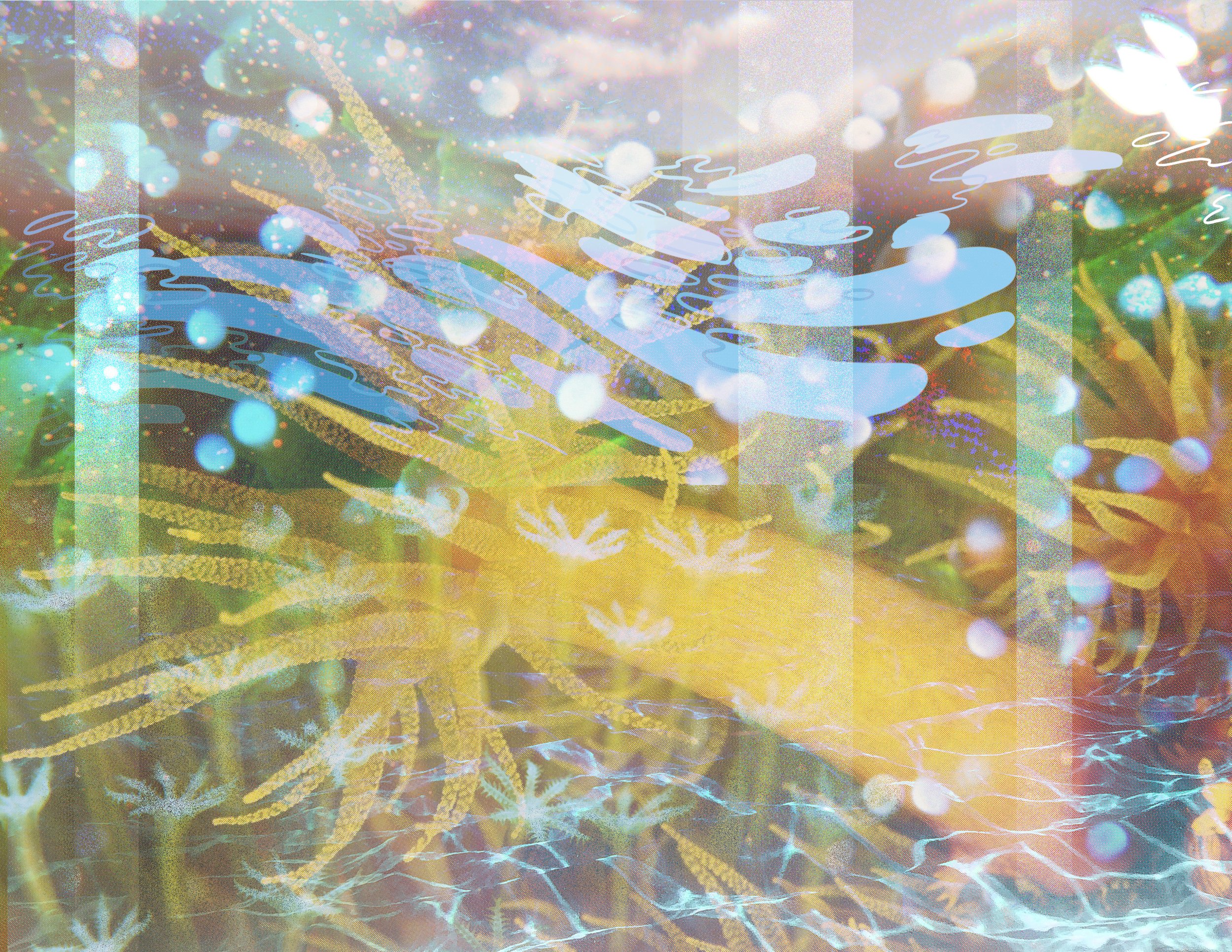 Coral Polyp Collage