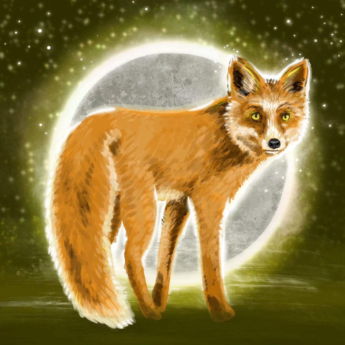 Alohactober Day 7! Today's prompt comes from my student Noah, who says to draw &quot;a fox (I love foxes).&quot; 🦊 so cute (but still a little spooky)! Thanks for the suggestion! 
.
.
.
.
.
.
.
#alohactober #alohactober23 #foxdrawing #fox #procreate