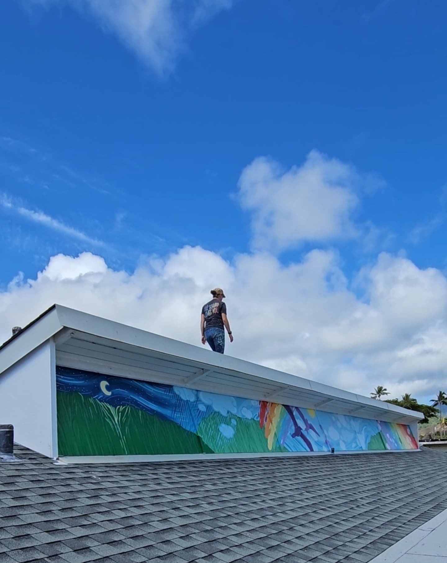 First roof mural @kainaluschoolandpta is pau! It's very long and difficult to photograph, but here she is! On to the next roof! Stay tuned! 🌈🕊✨️

Mural by: @bozschurr 

#kainaluelementary #kailuahawaii #mural #roofmural #rainbowmural #bozschurr #bo