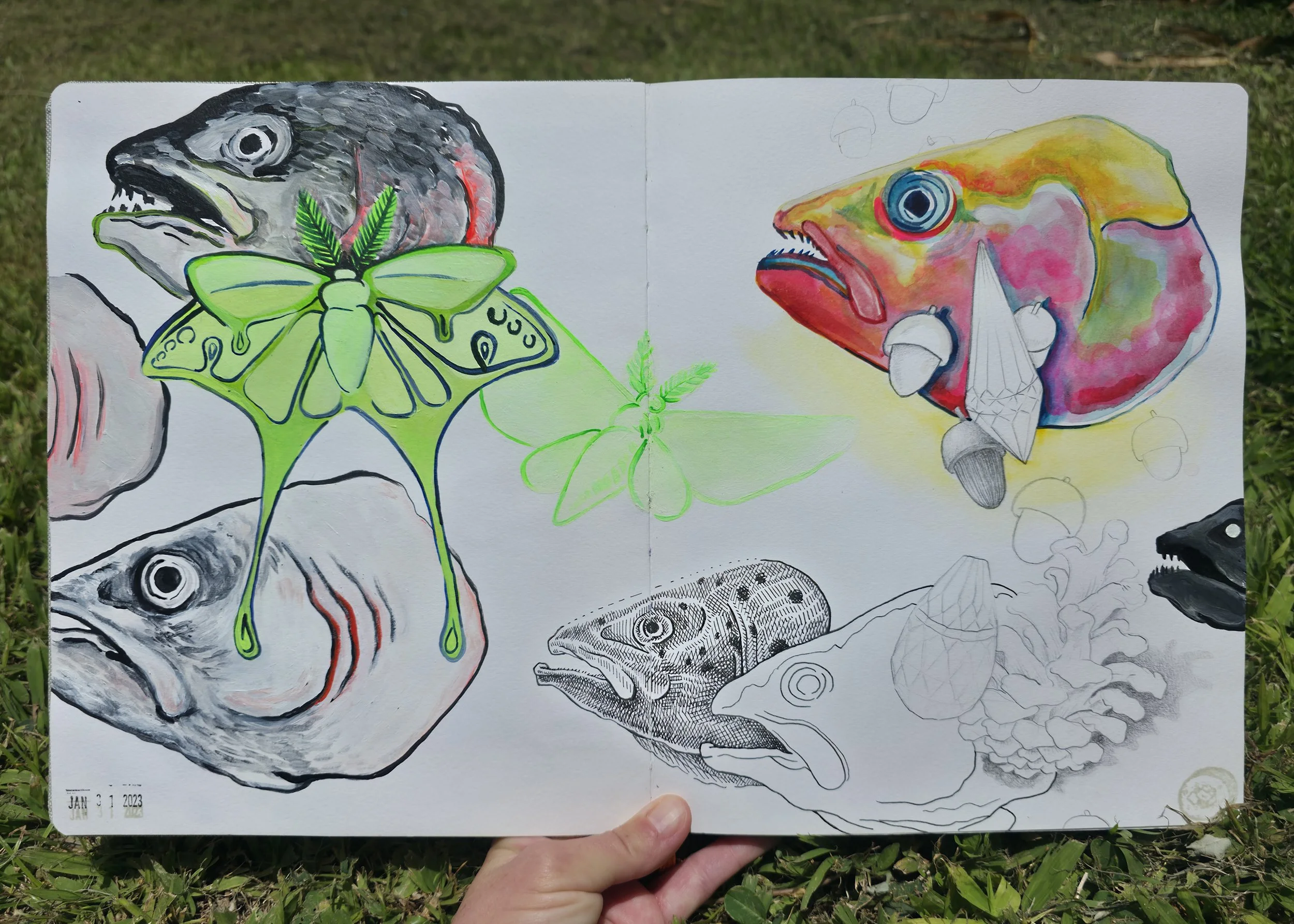 Sketchbook_2.jpg
