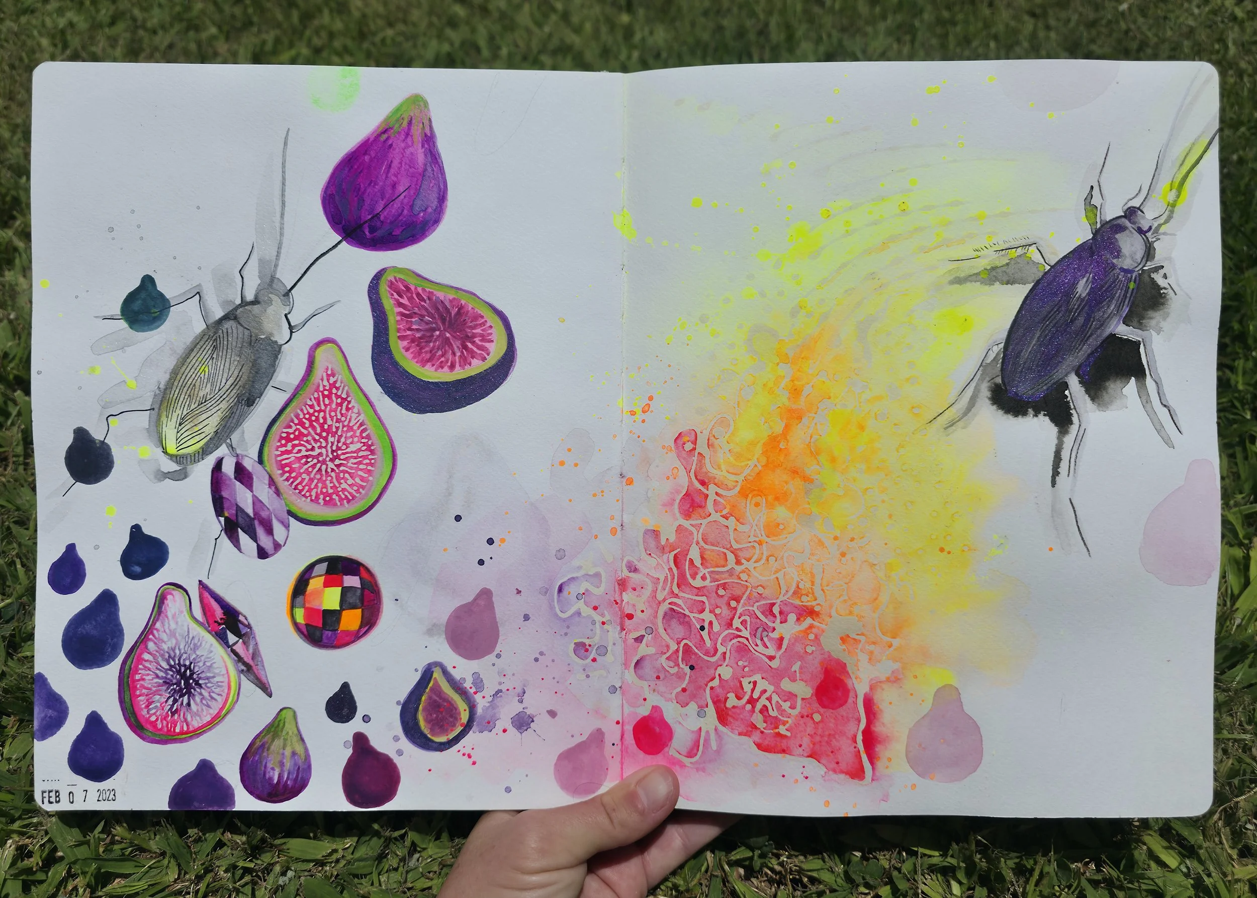 Sketchbook_5.jpg