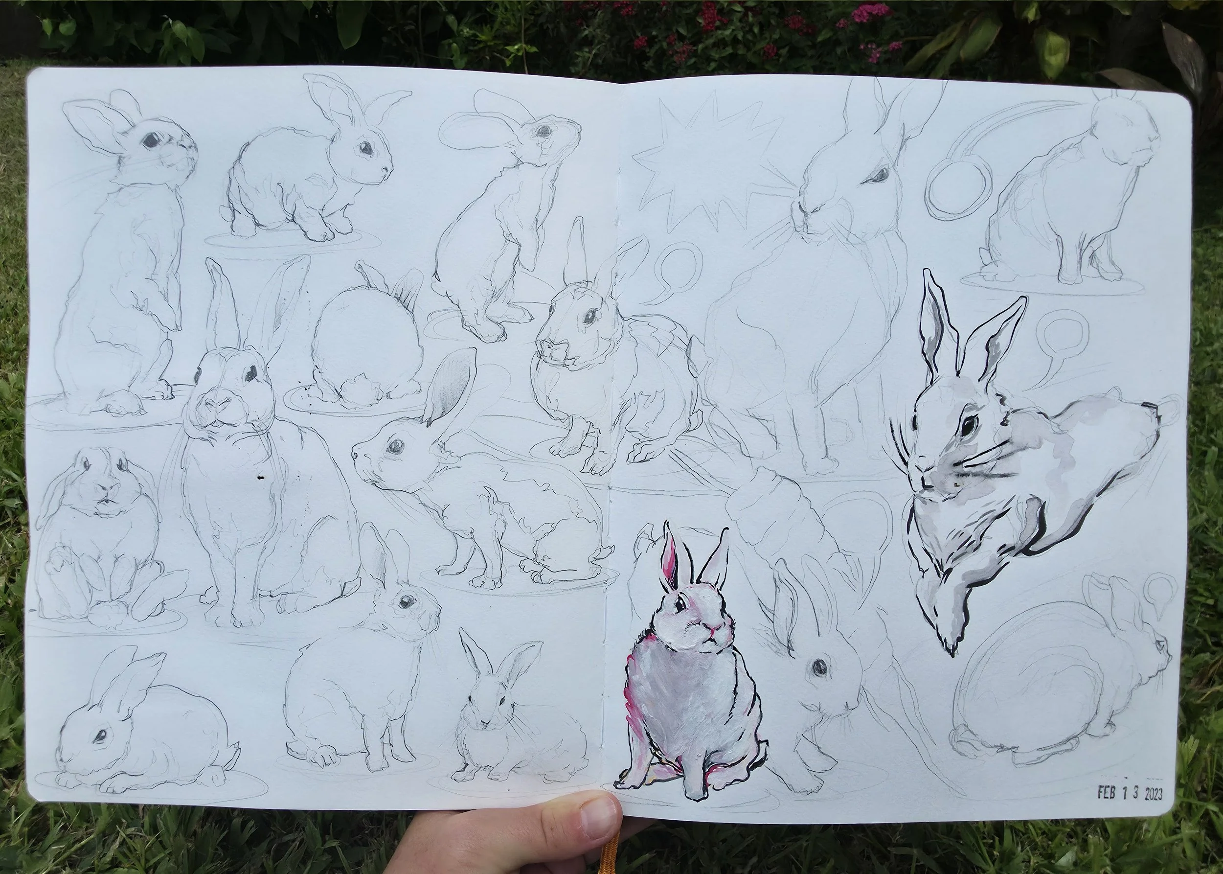 Sketchbook_11.jpg