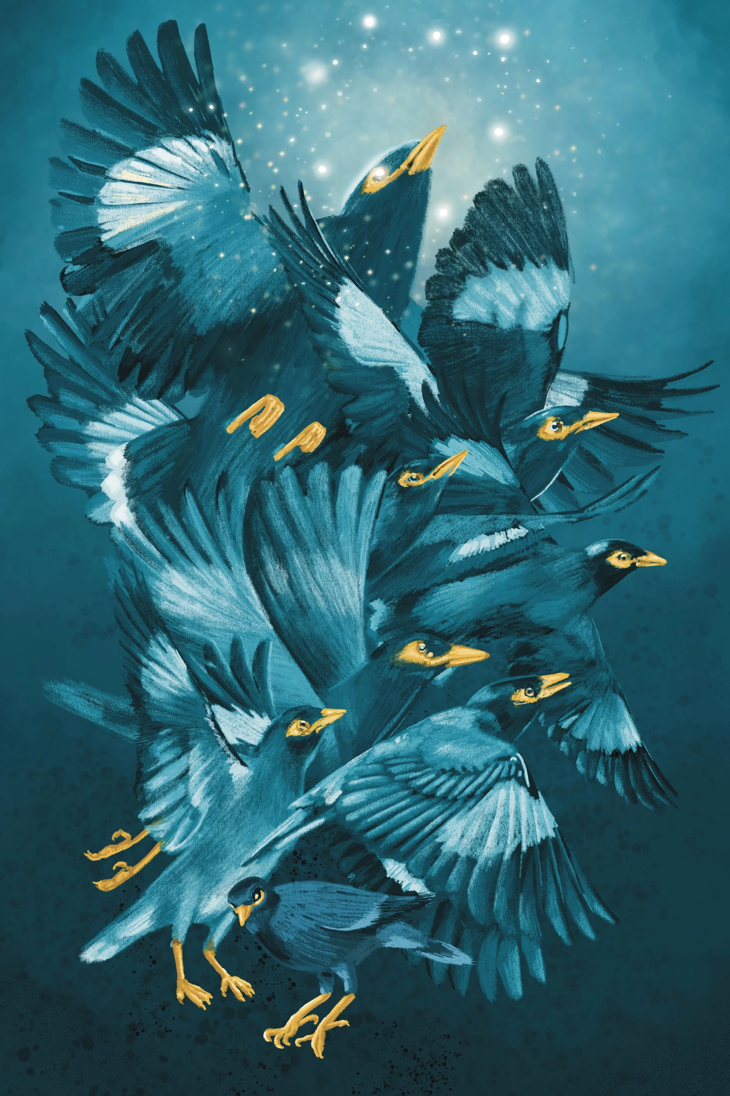 "Makawalu (Mynah Birds)"