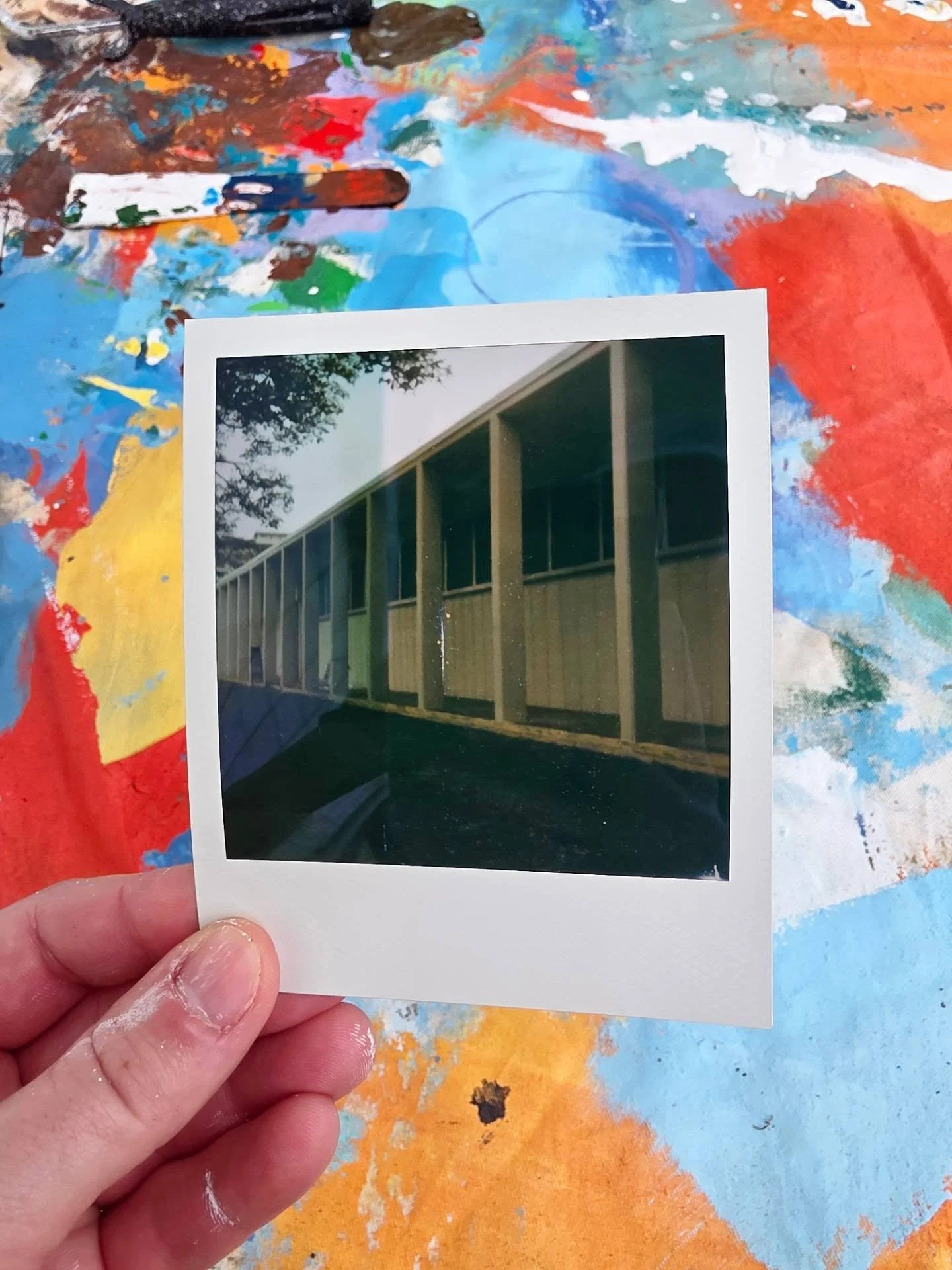 Catching up on posting! Big Mahalo to @keelikolanimiddle for letting my tackle this wall (she's a long one!). Just some work in progress pics for now but if you drive down vineyard you can see it competed! More coming soon! Cheers! 🎨🐦🍄

#iohawk #h