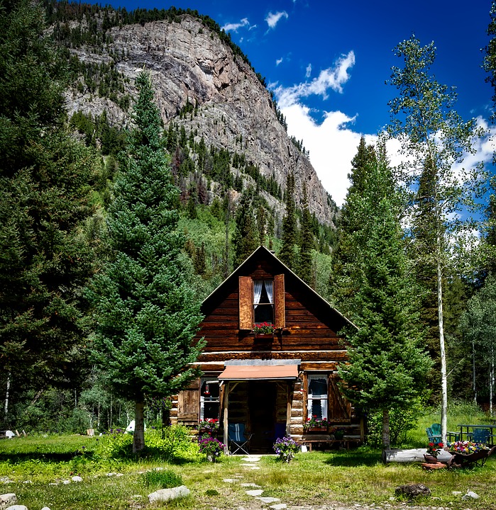 Would you live in a cabin in the woods?