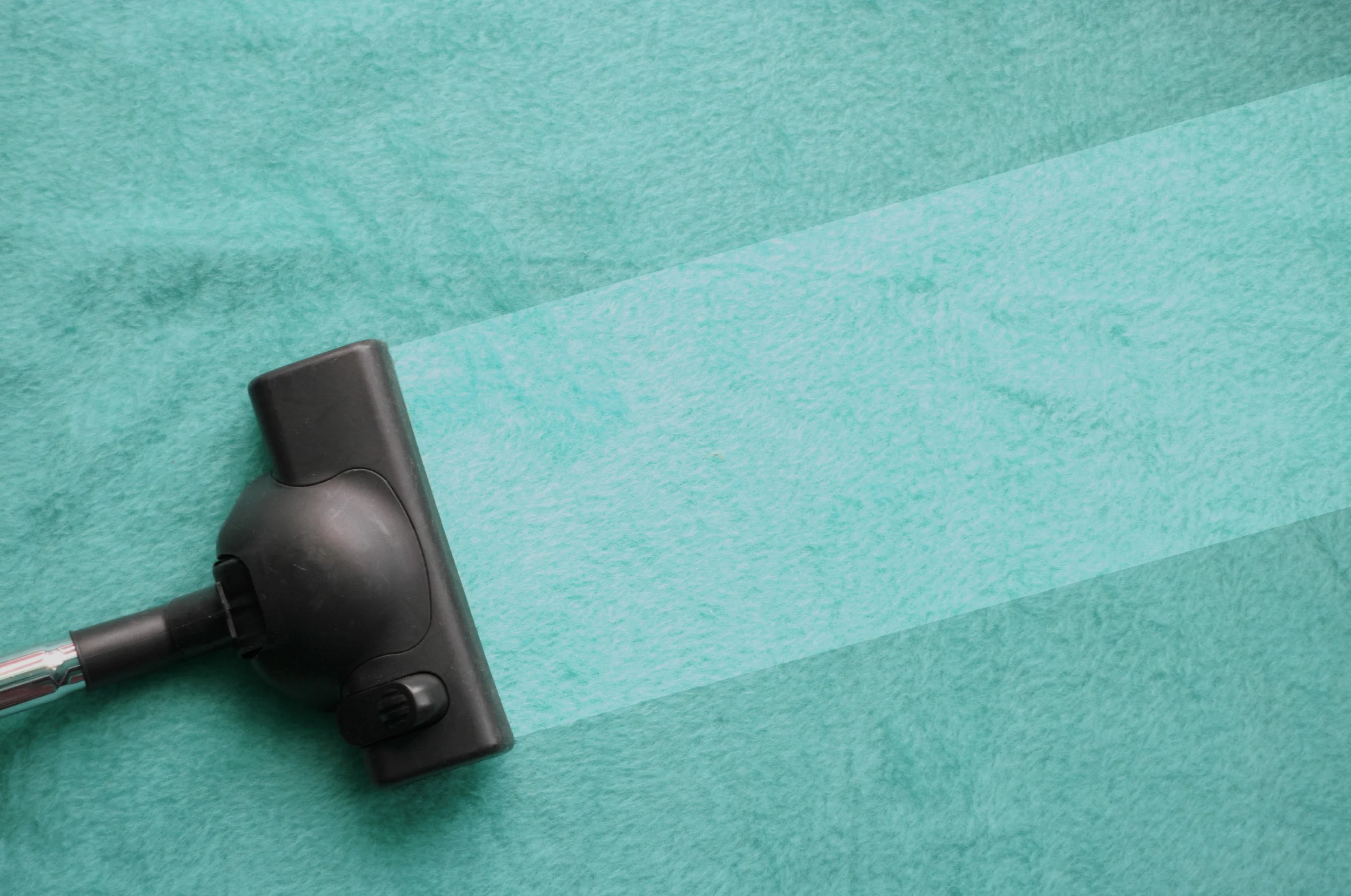 carpet_vacuum.jpg