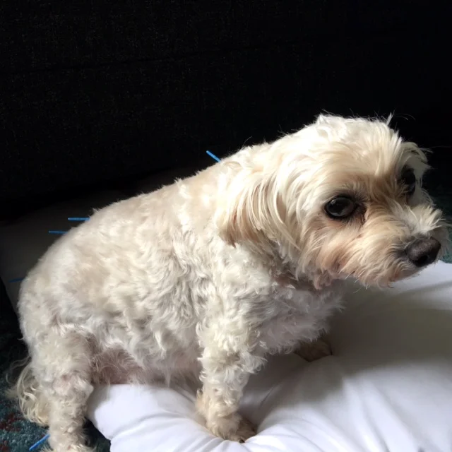 A gorgeous shot of Mo!