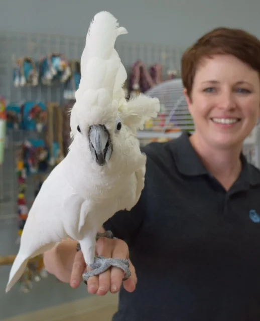 We had a great time discussing acupuncture at Parrot U!