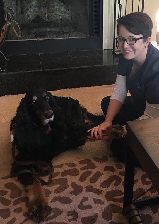 Haylee likes Dr. Butchko to hold her paw during acupuncture! 