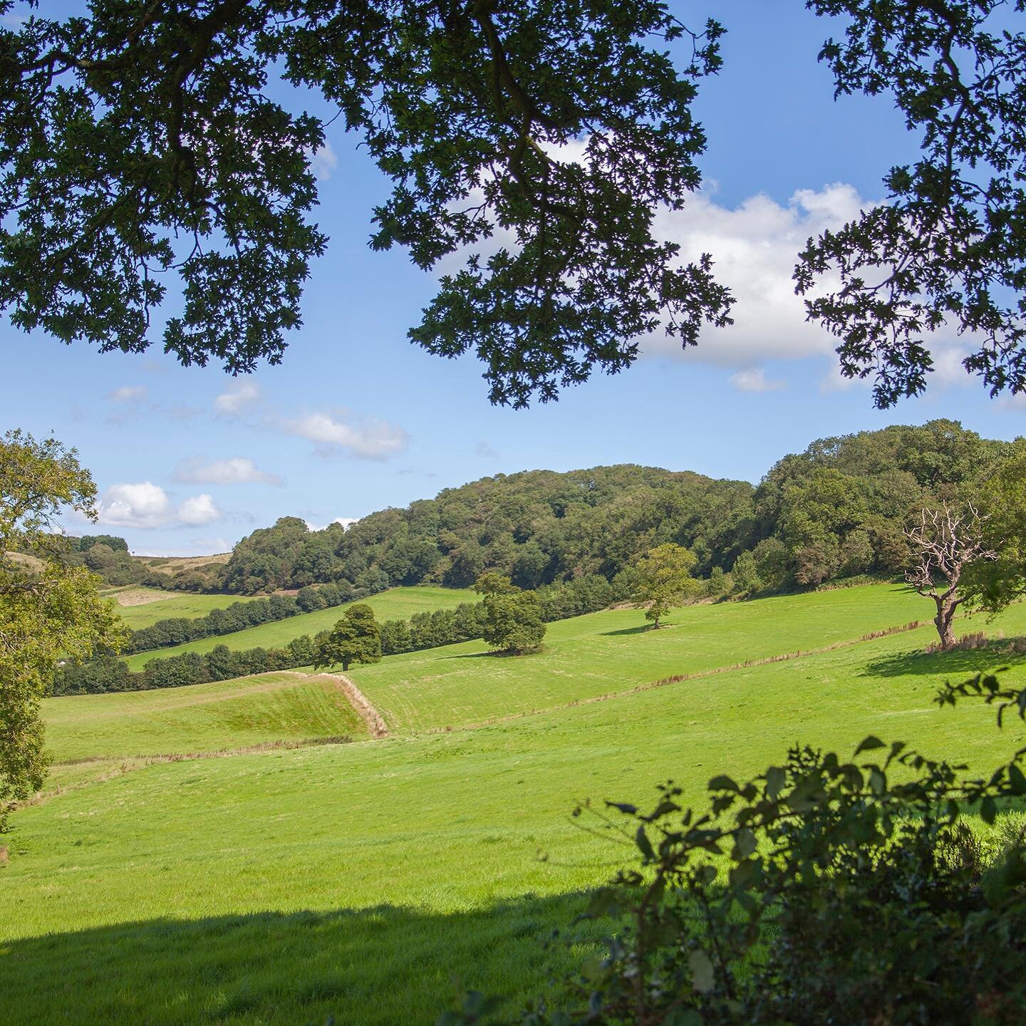 The views, the views.. and the windows to the views: a lookout, a hideaway, sky light windows to watch the stars and catch the sun; an eastern morning window to catch sunrise- kettle on..ah, enjoy 😊 @happy.on.the.hill http://www.happyonthehill.com/j