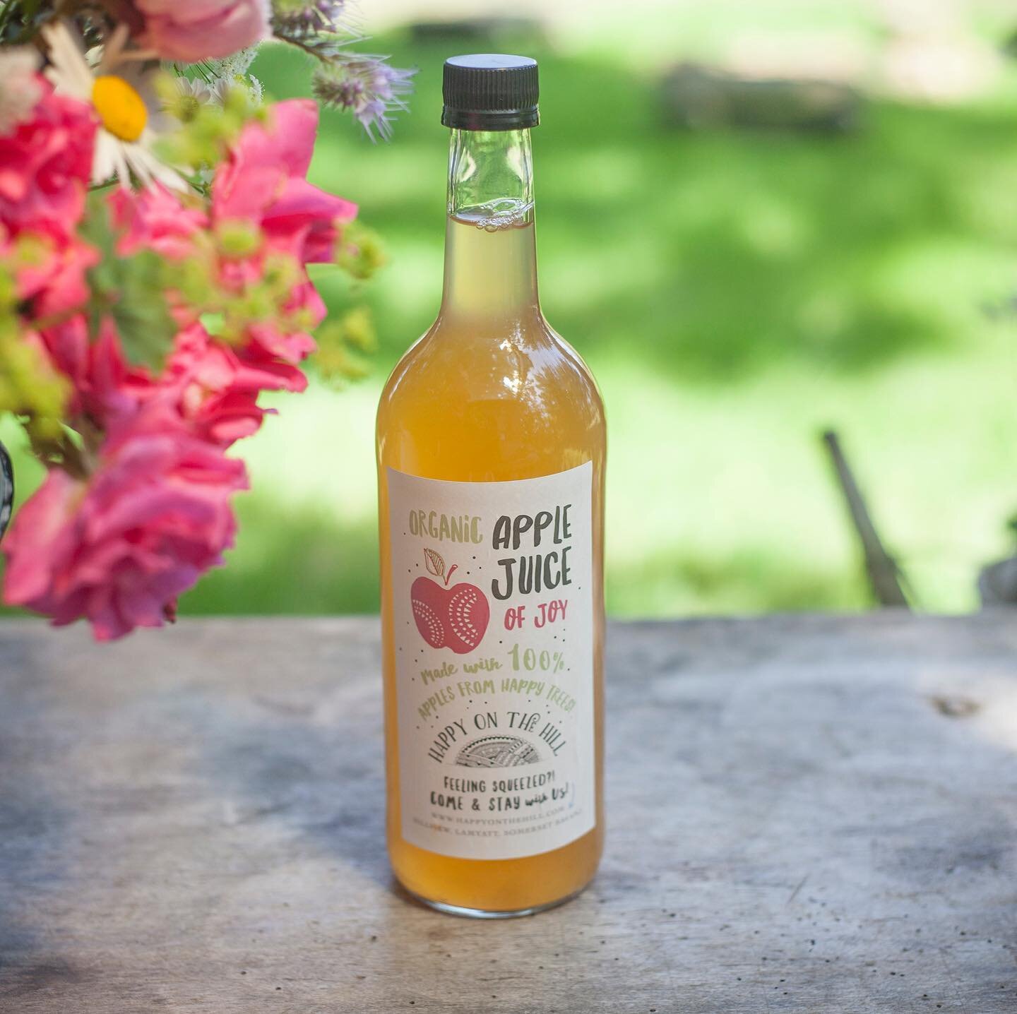 Golden days nostalgic of summer and a homage to Happy on the Hill apple trees coming along nicely in Gabriel&rsquo;s Wagon orchard. Our guests enjoy the run of this whole magical meadow, enjoy the views and can eat the apples straight from the trees.