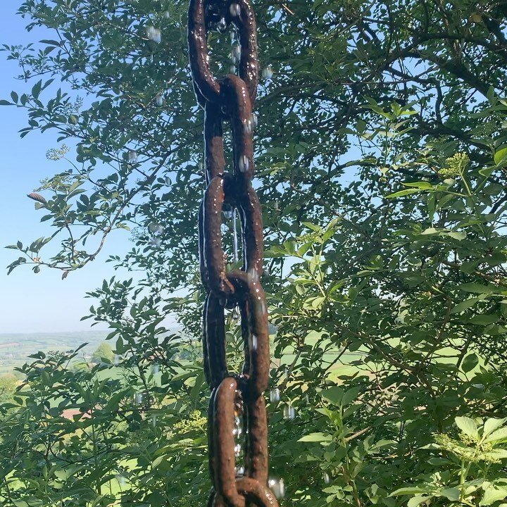 On a HOT HOT day the sound of the water running down the rain chain as we water Jake&rsquo;s Cabin&rsquo;s living roof is beautifully refreshing.. 😅☀️🌿🌳🦔🐾🐕🦌🦋🐝🦉🐕&zwj;🦺 We are taking bookings and filling up fast. Find us at www.happyonthehi