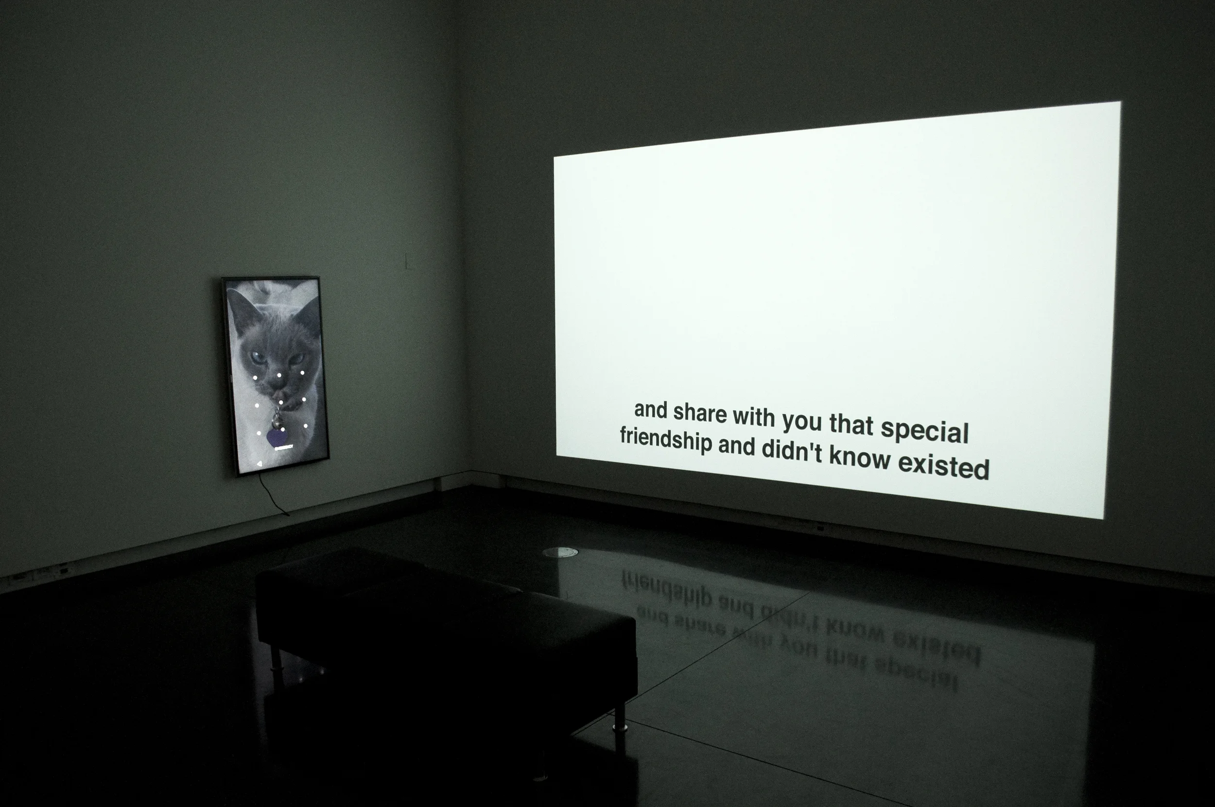 Installation at University of Colorado Boulder Art Museum