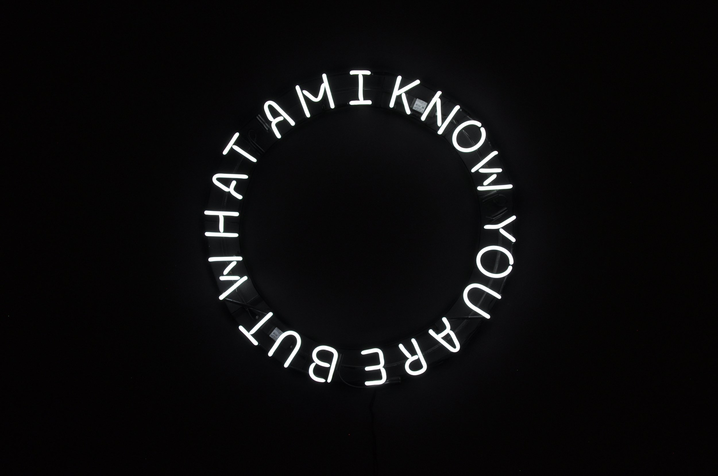 I KNOW YOU ARE BUT WHAT AM I?, 2015