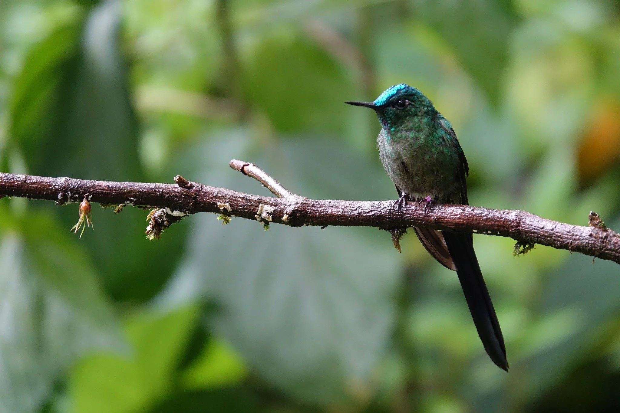 Traveling with Biotropica Expeditions in Ecuador