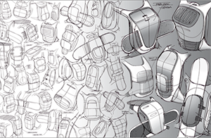 Ziba-3.png