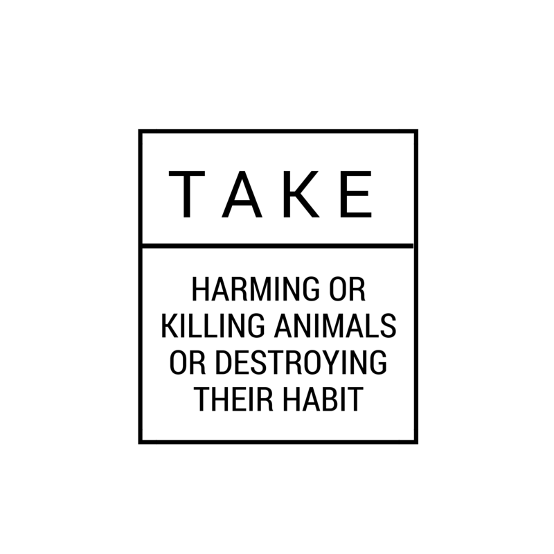 take.png
