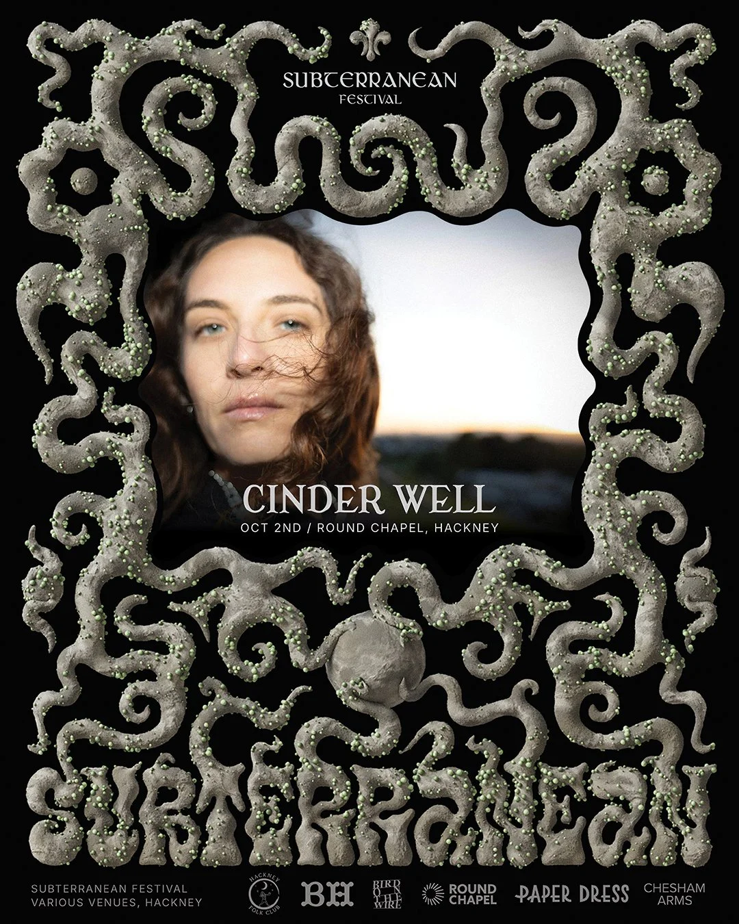 CINDER WELL copia.jpg