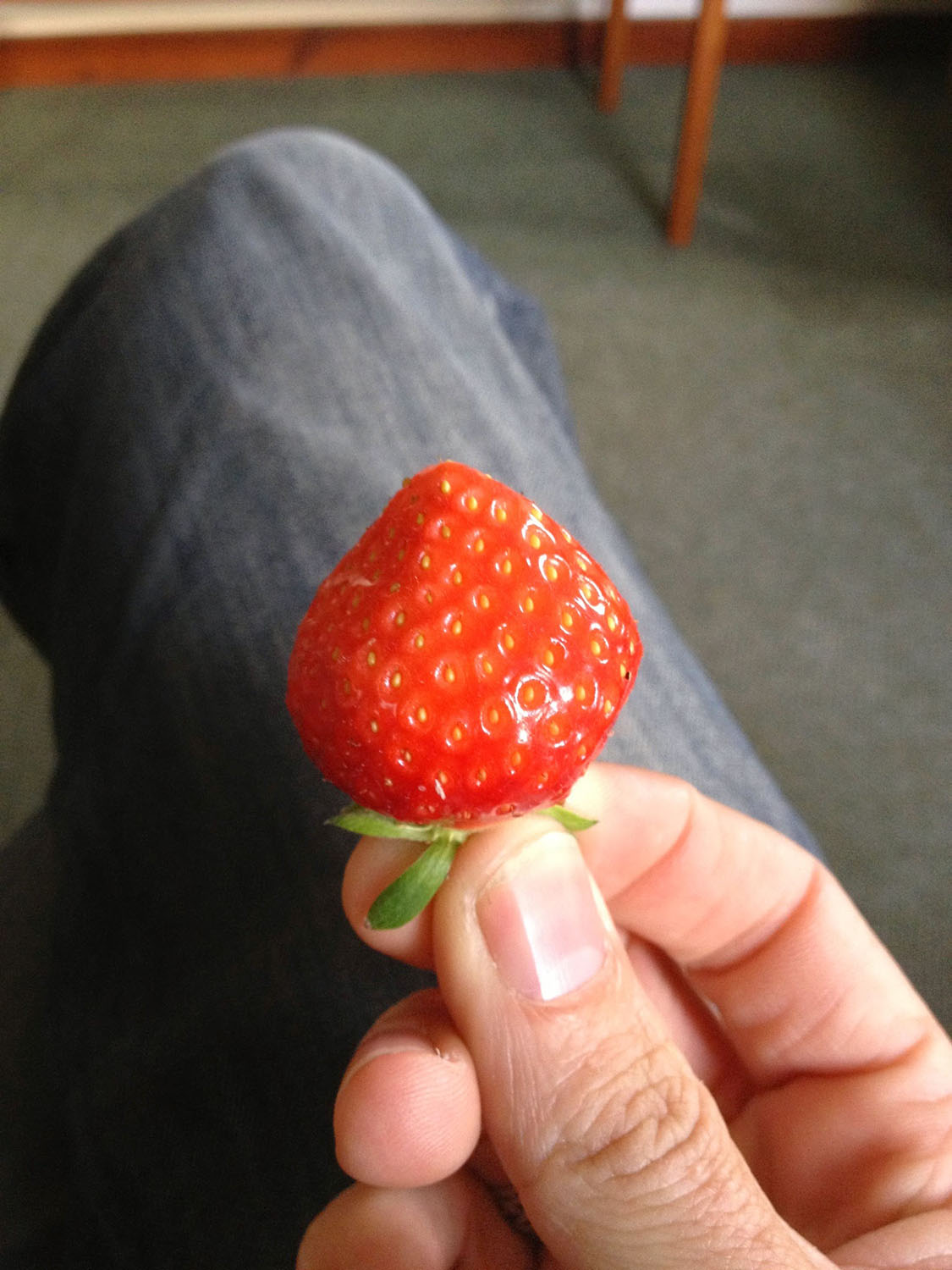 Strawberry raised by the monks of Pluscarden Abbey
