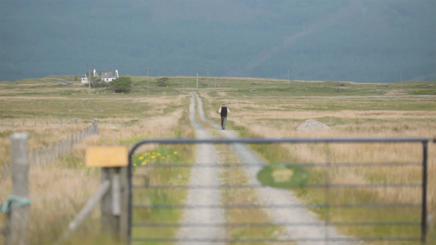 Long Path_1.jpg