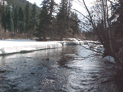 Winter river scene near Durango, Colorado